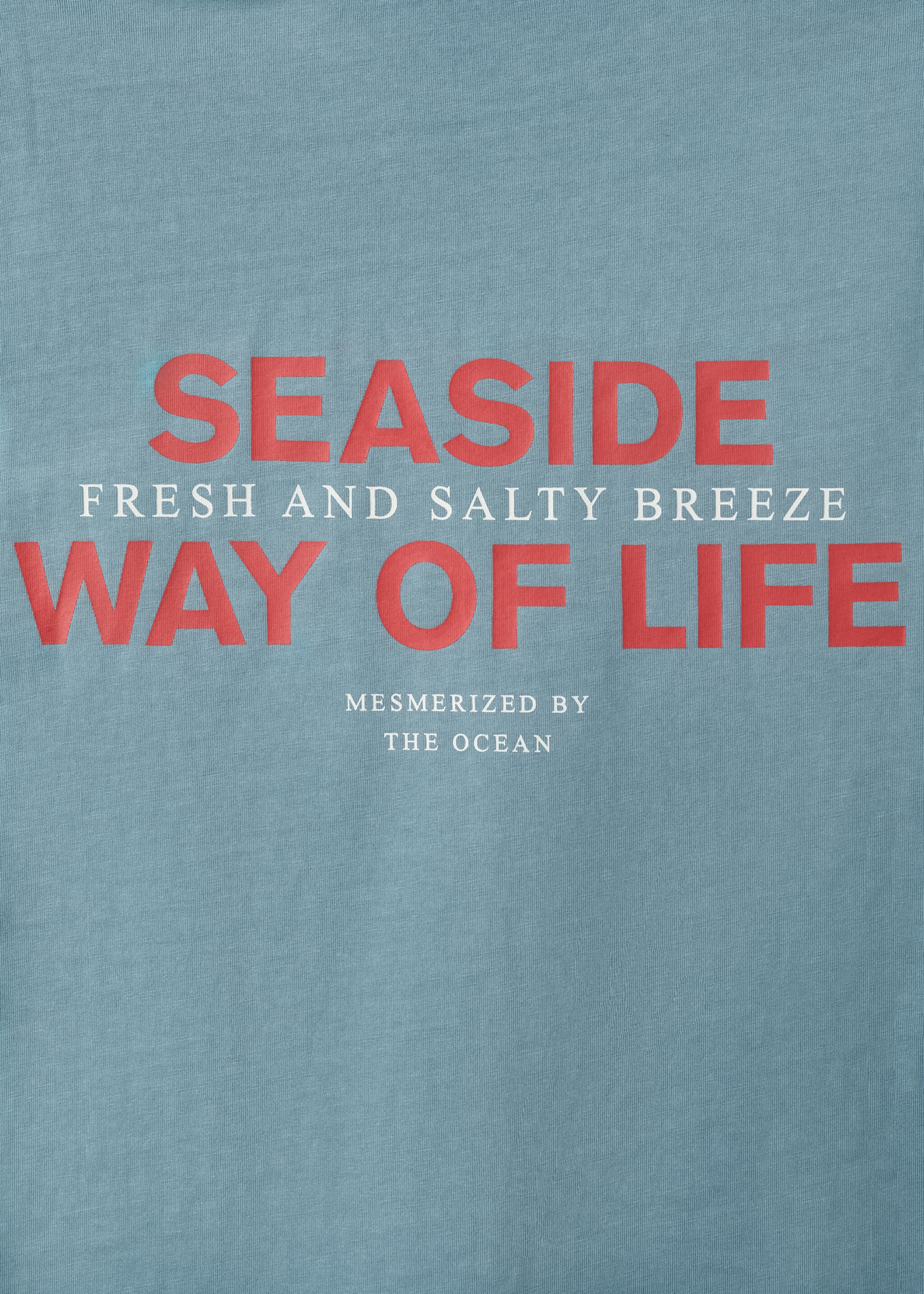 Short-sleeved printed t-shirt - Details of the article 0, Blue. Ref: 27027934-00.