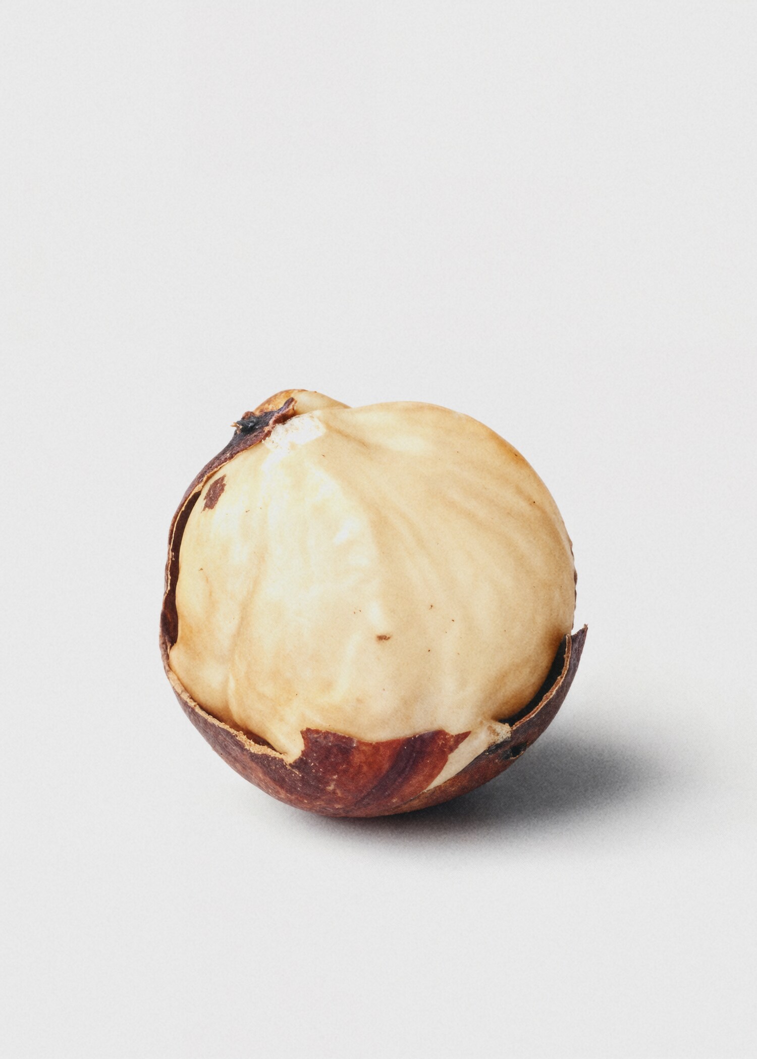 Parfum Saffron Sublime 80 ml - Détail de l'article 6