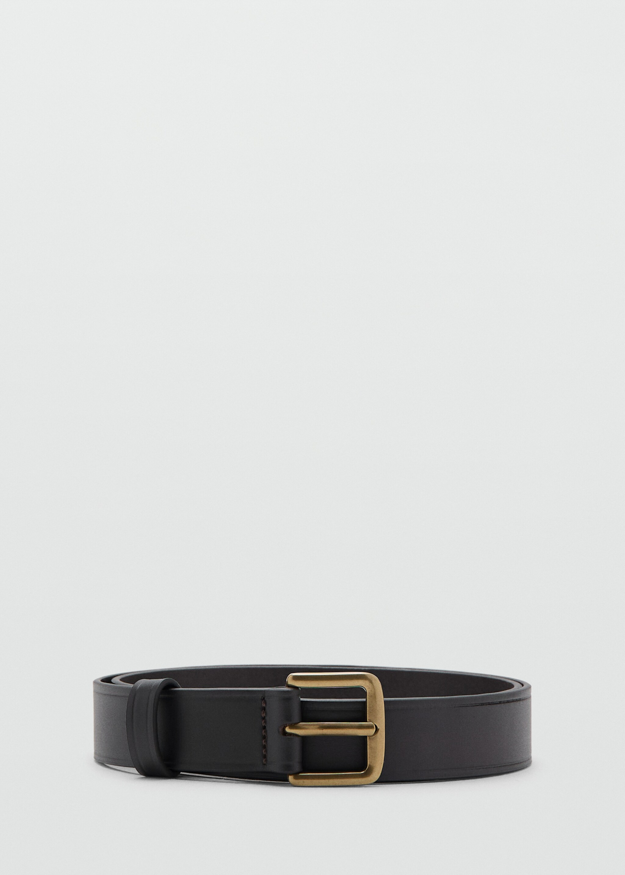 Belt florenci - Article without model, Brown. Ref: 27031250-00.