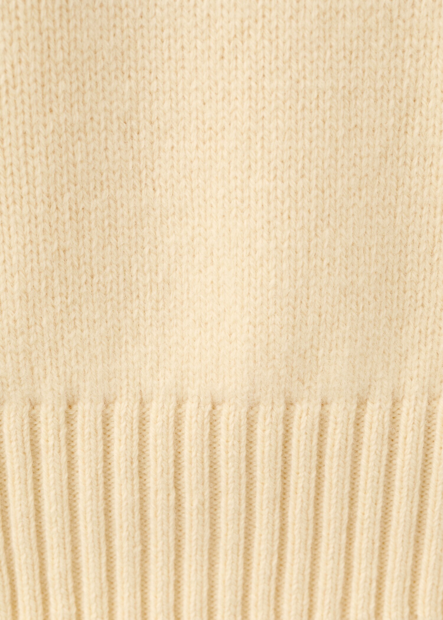 Sweater lory - Details of the article 0