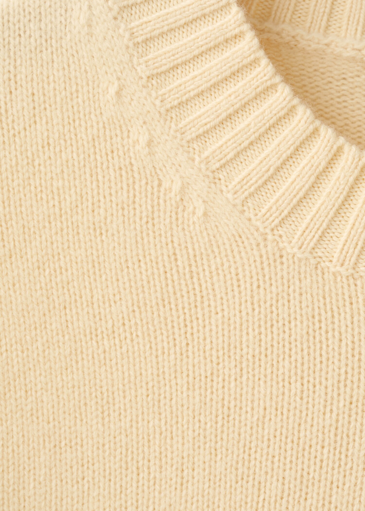 Sweater lory - Details of the article 8