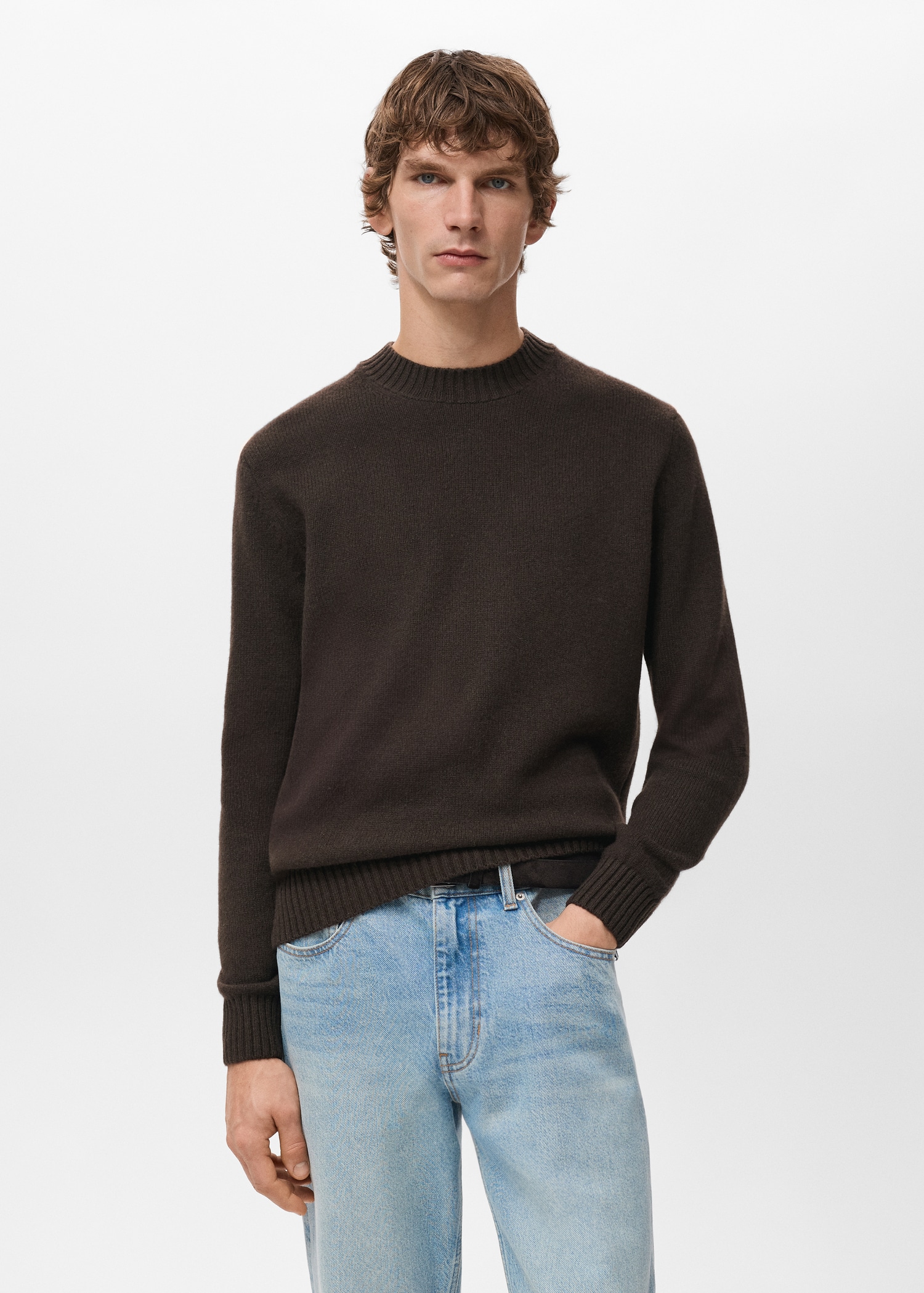 Sweater lory - Medium plane