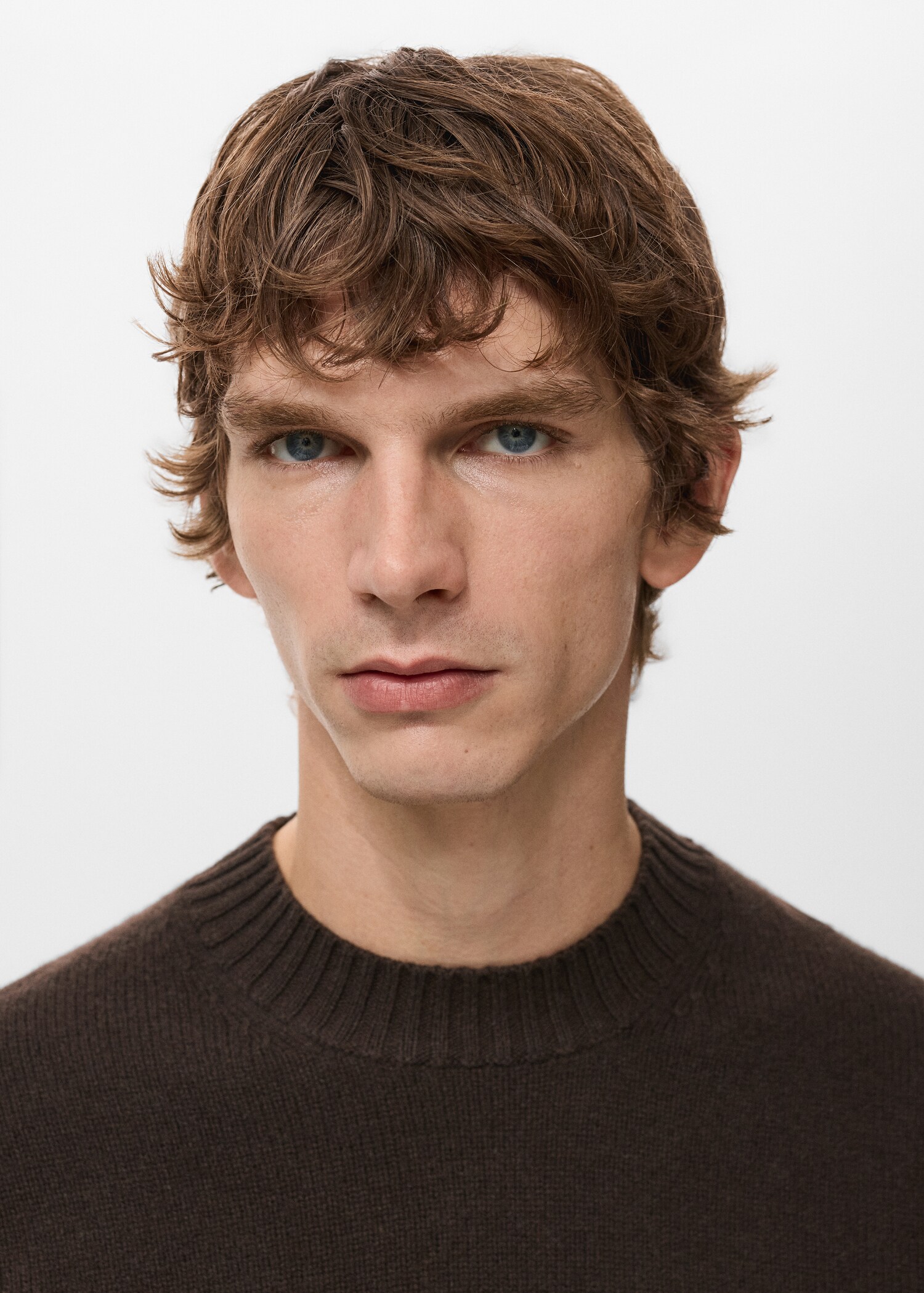 Sweater lory - Details of the article 1