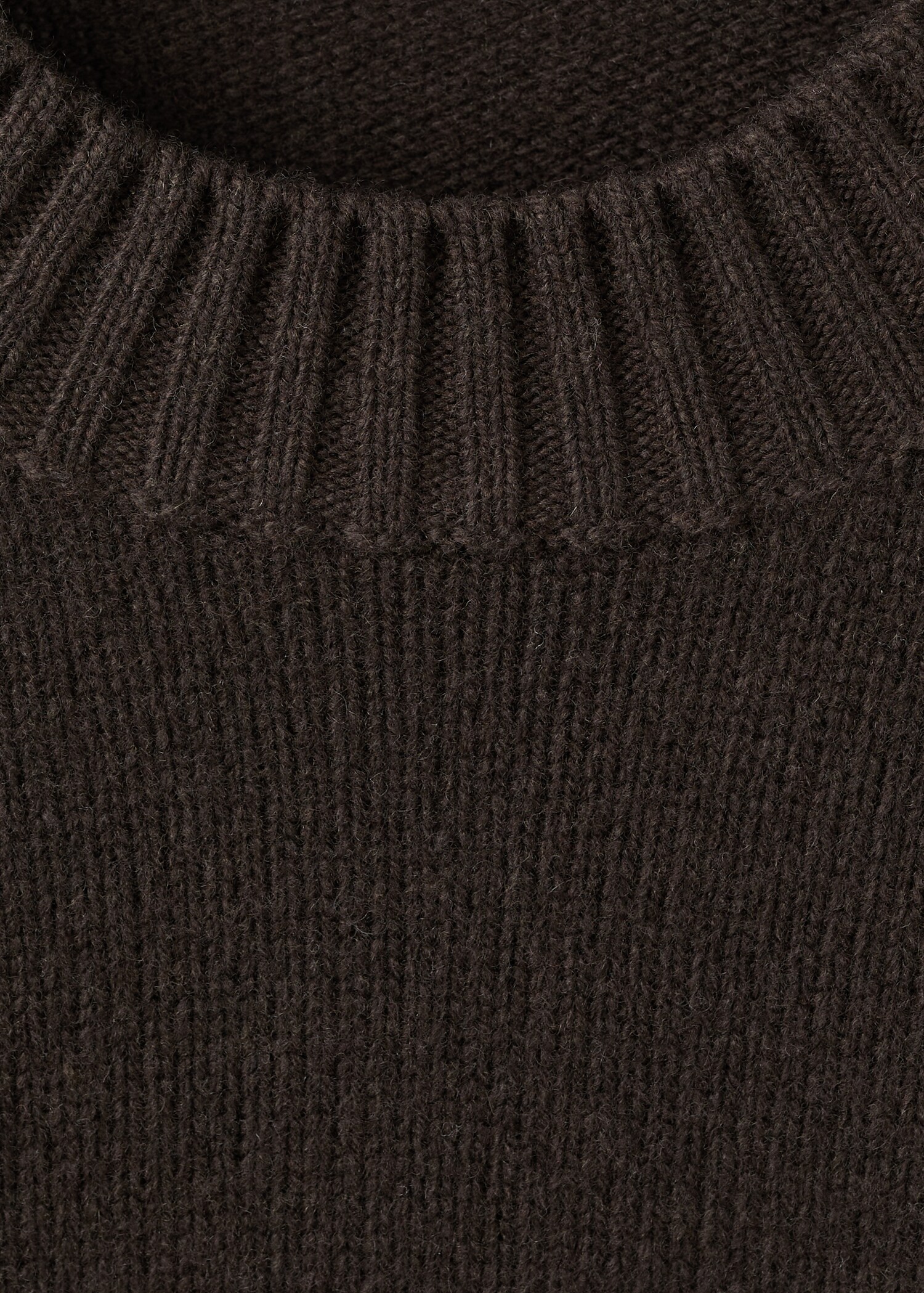 Sweater lory - Details of the article 8