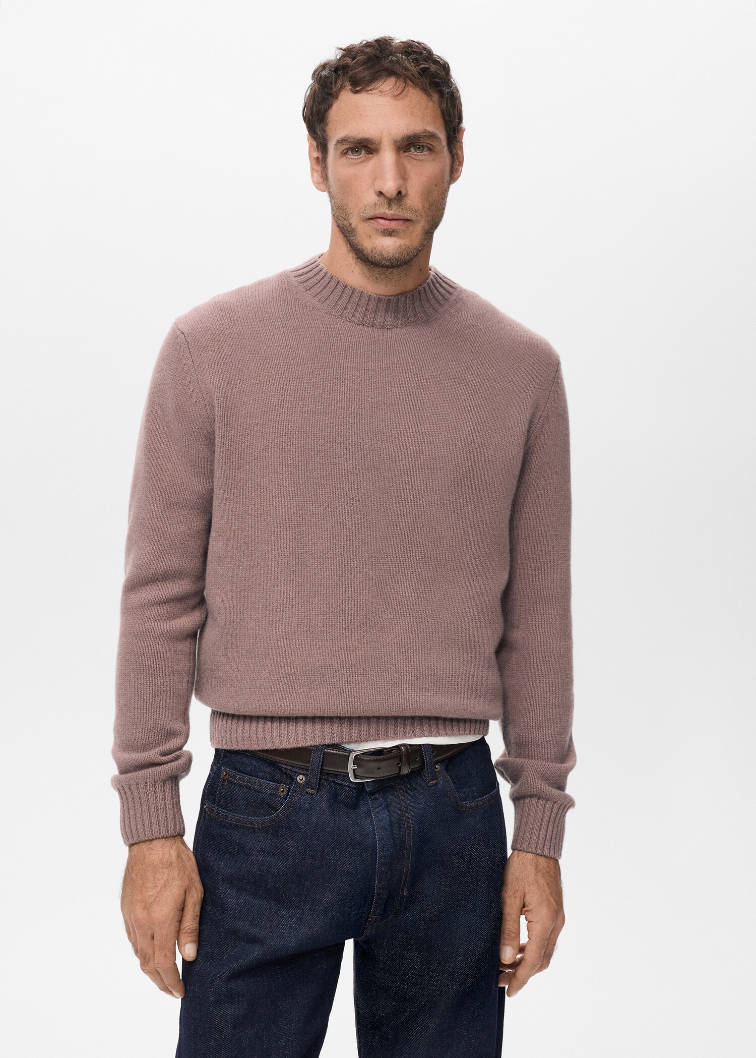 Sweater lory - Medium plane