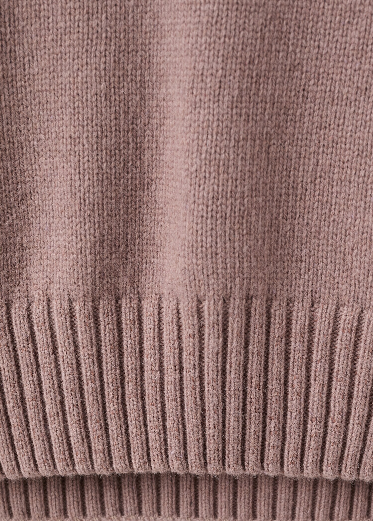 Sweater lory - Details of the article 0