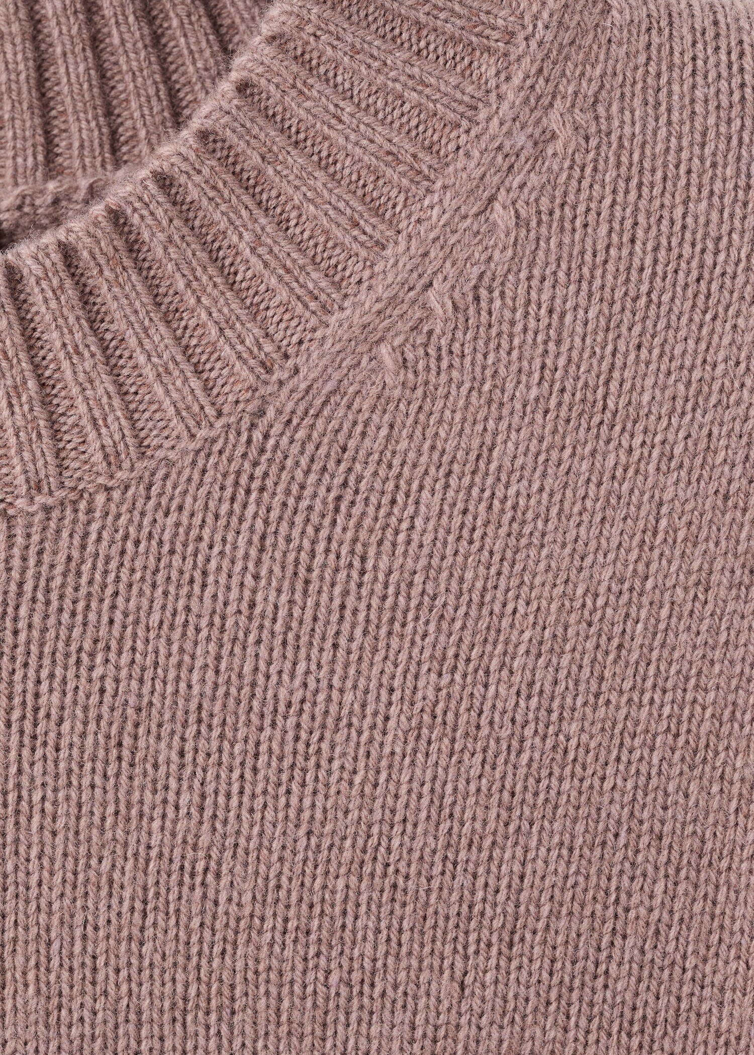 Sweater lory - Details of the article 8