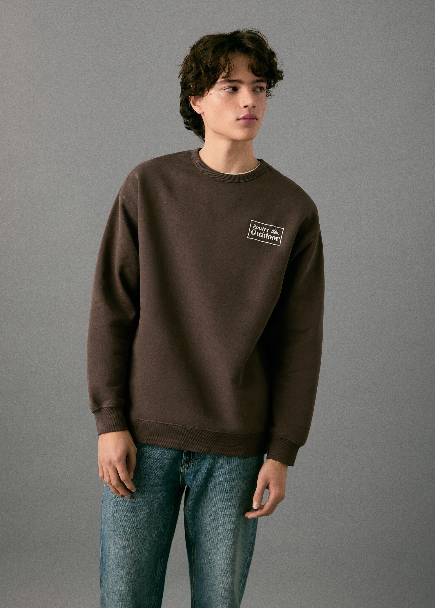 Embroidered cotton sweatshirt - Medium plane