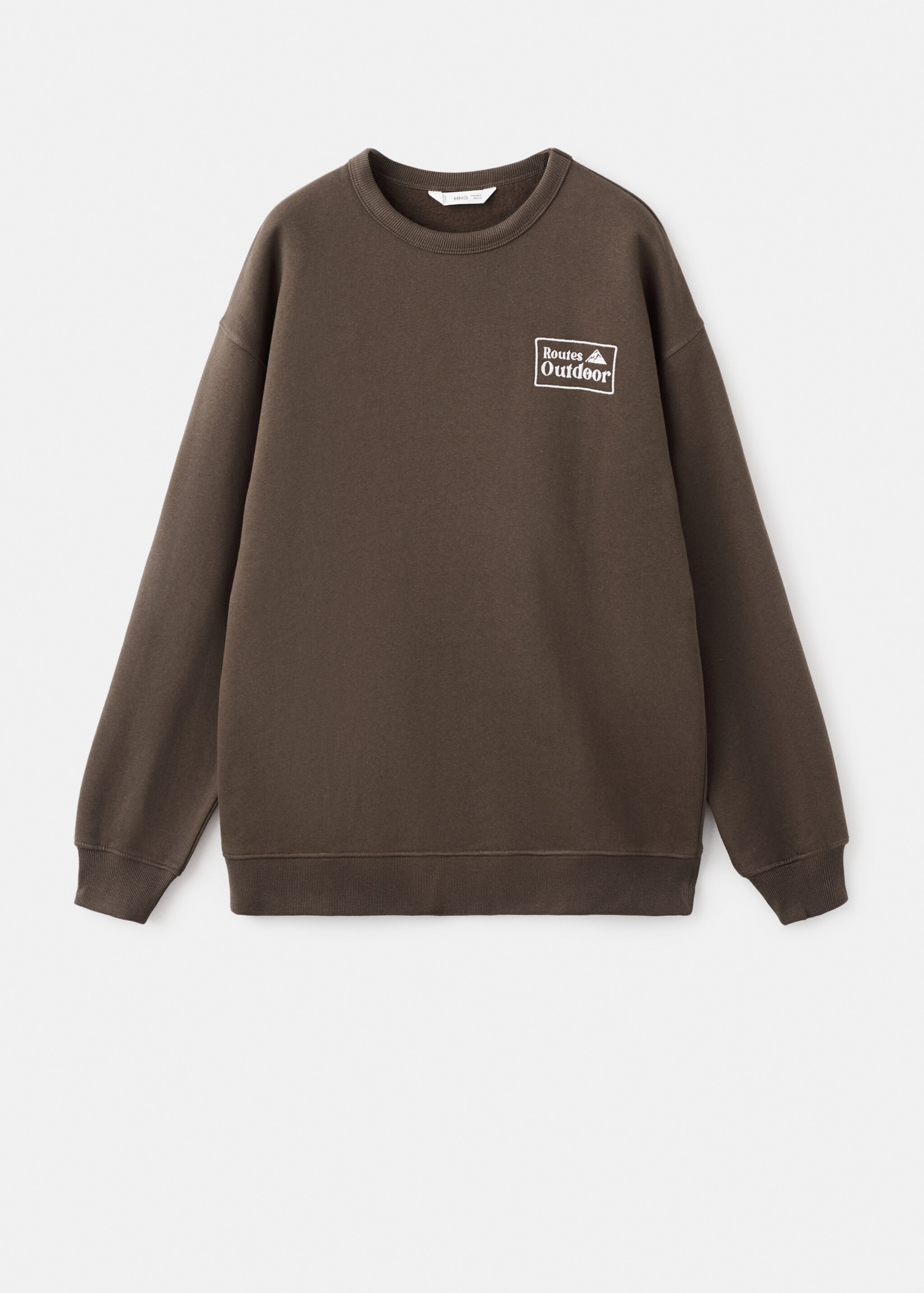 Embroidered cotton sweatshirt - Article without model, Brown. Ref: 27031515-00.
