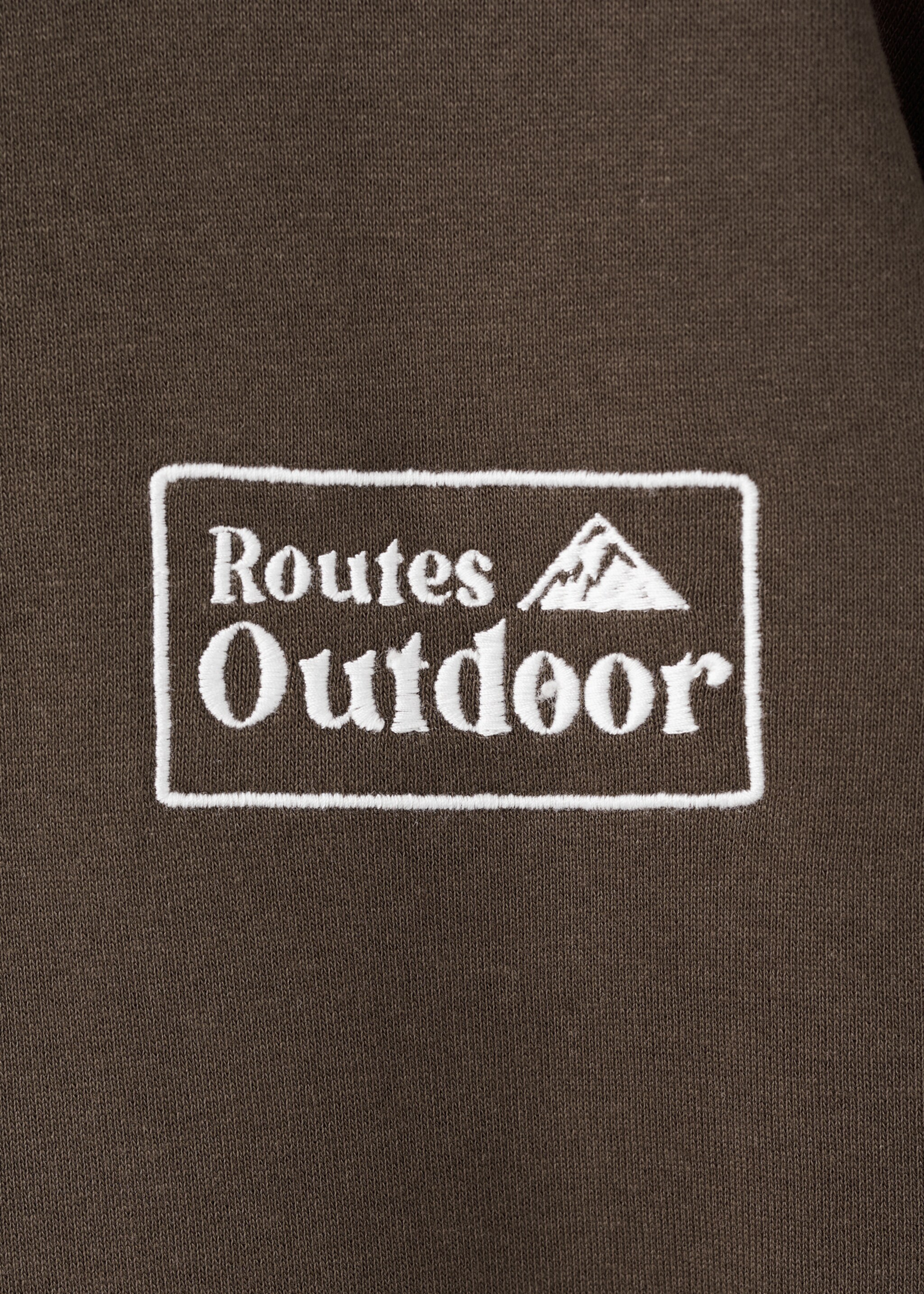 Embroidered cotton sweatshirt - Details of the article 0, Brown. Ref: 27031515-00.