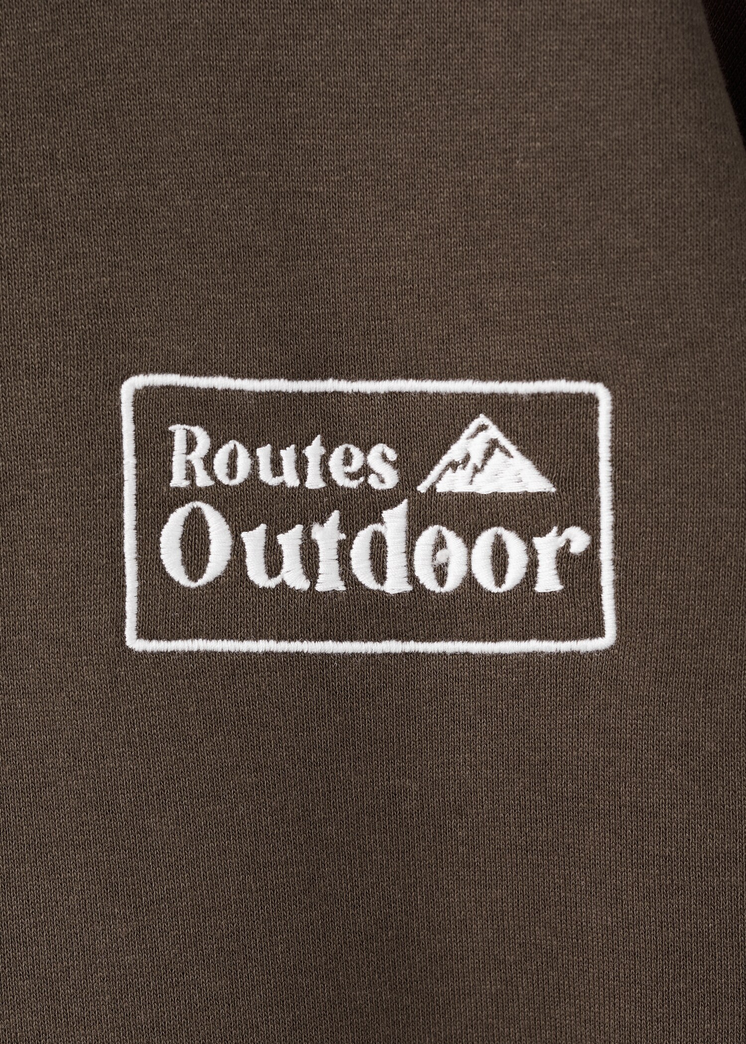 Embroidered cotton sweatshirt - Details of the article 0