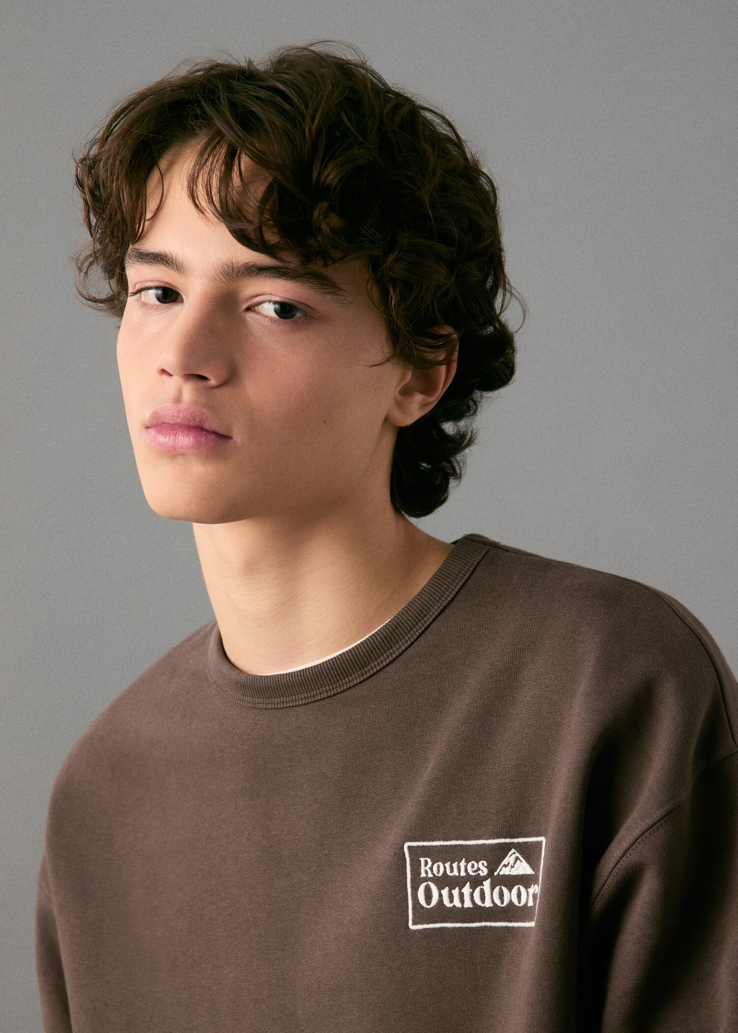 Embroidered cotton sweatshirt - Details of the article 1