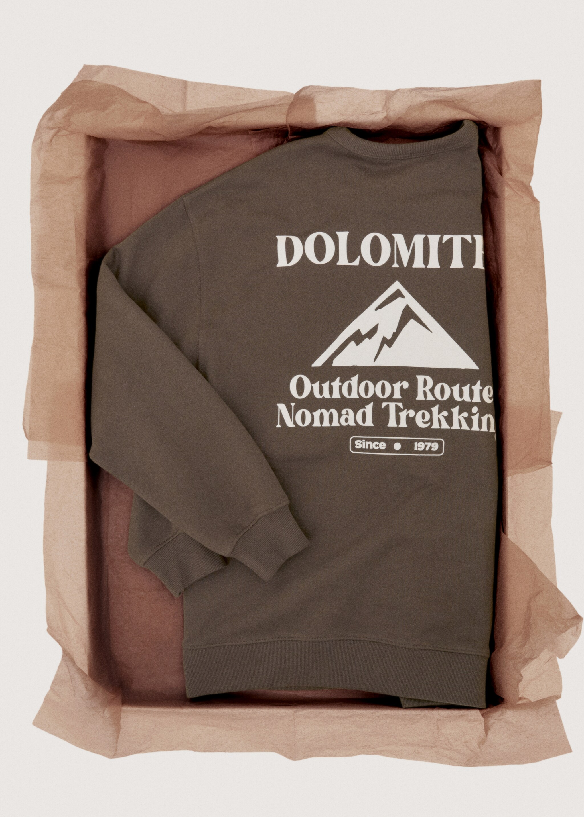 Embroidered cotton sweatshirt - Details of the article 7, Brown. Ref: 27031515-00.