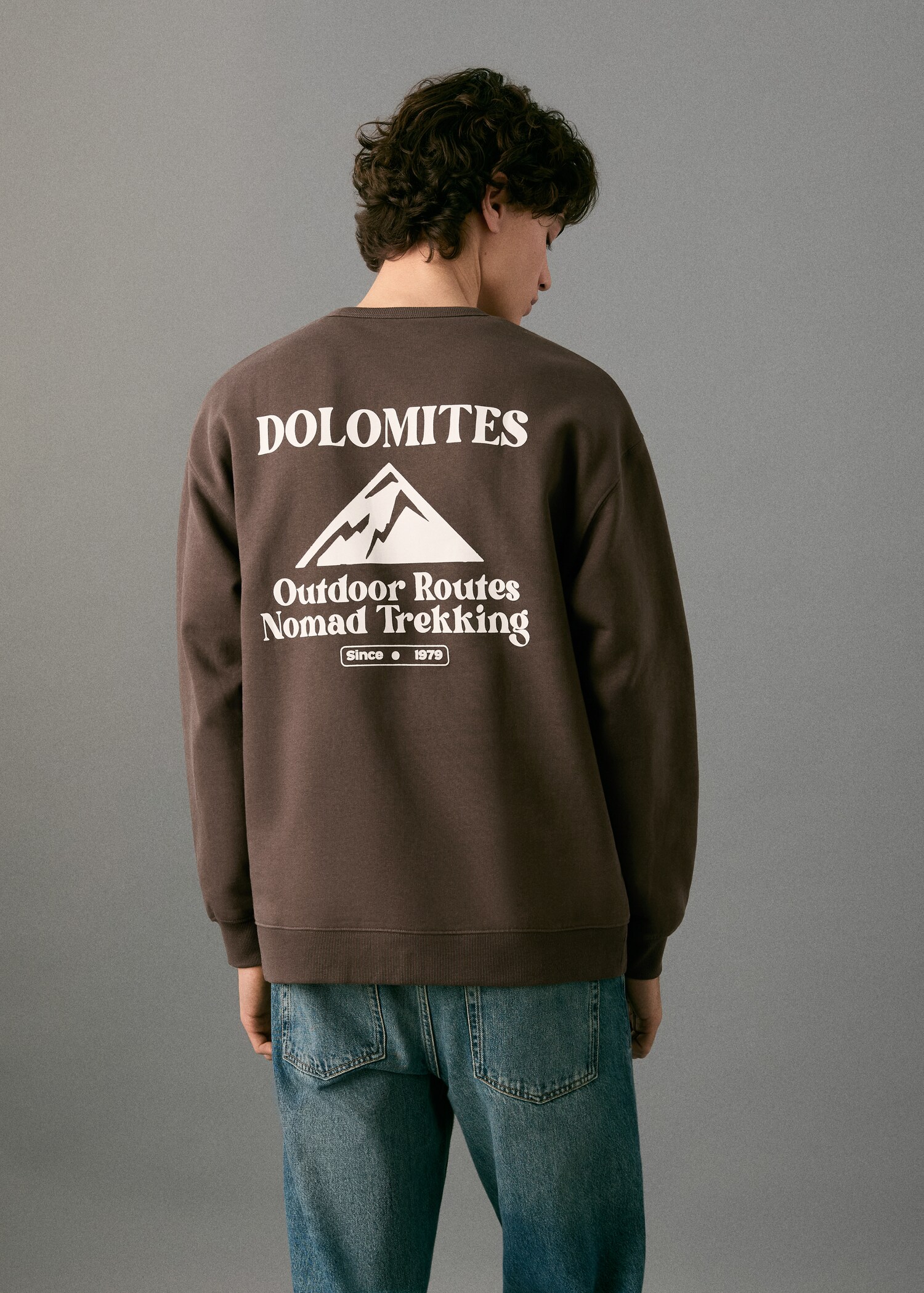 Embroidered cotton sweatshirt - Reverse of the article