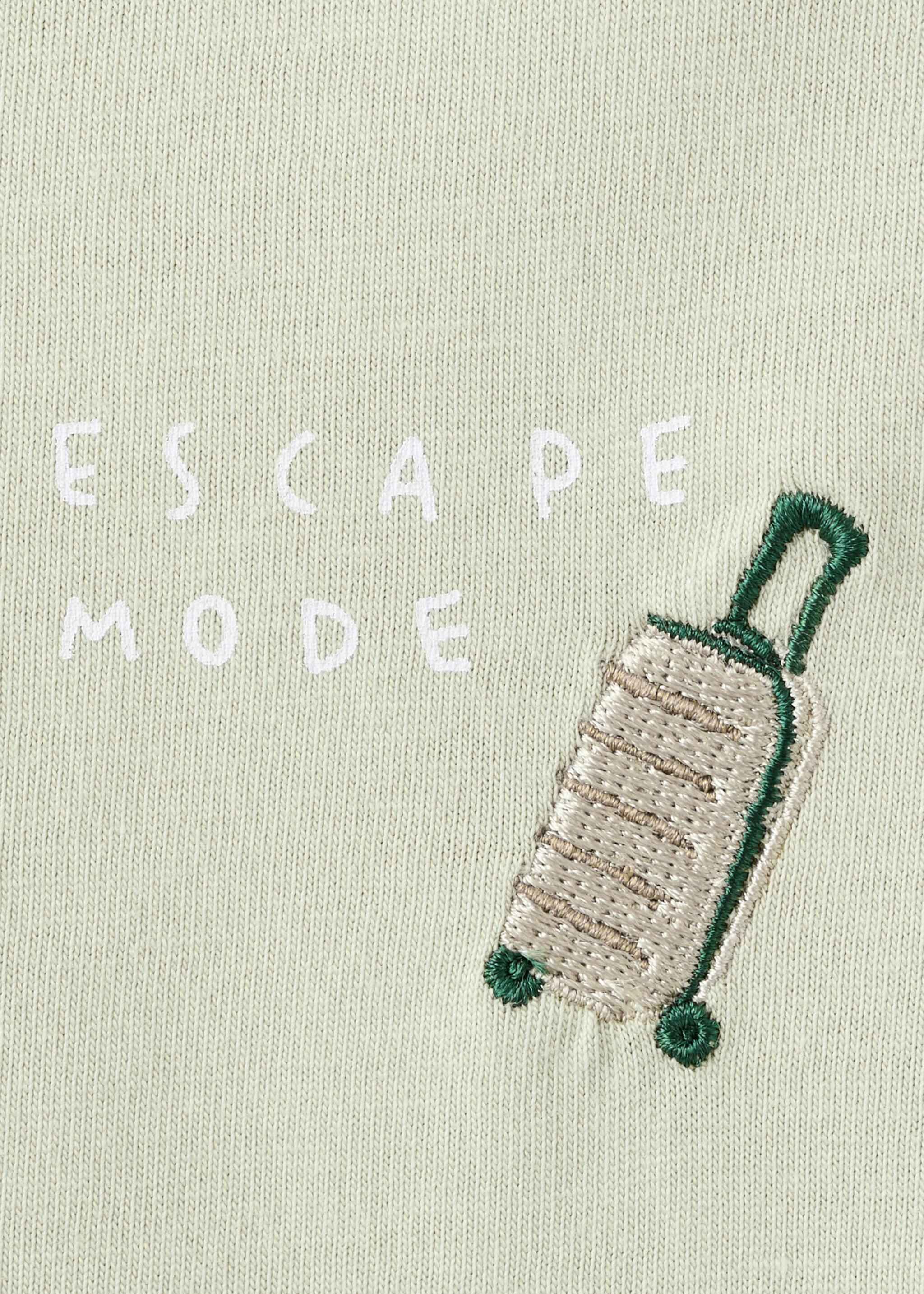 100% cotton t-shirt with embroidered detail - Details of the article 0, Mint Green. Ref: 27035999-00.