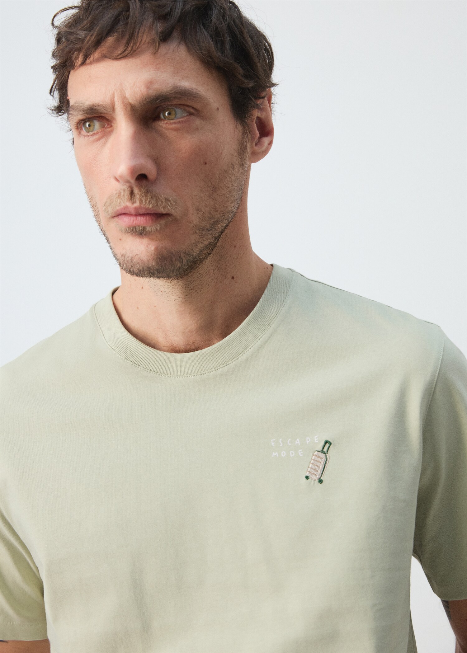 100% cotton t-shirt with embroidered detail - Details of the article 1