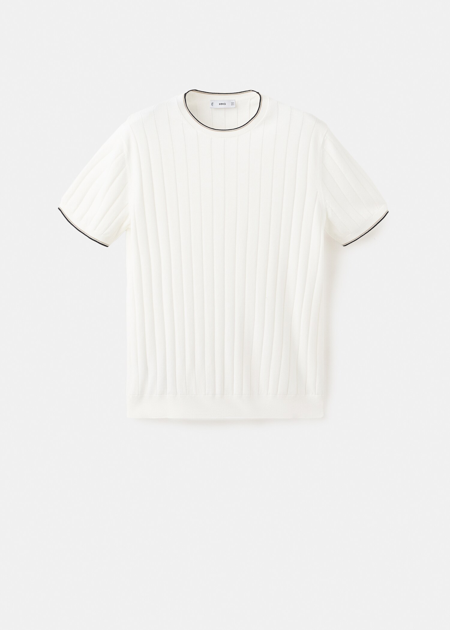 Fine jersey 100% cotton T-shirt - Article without model