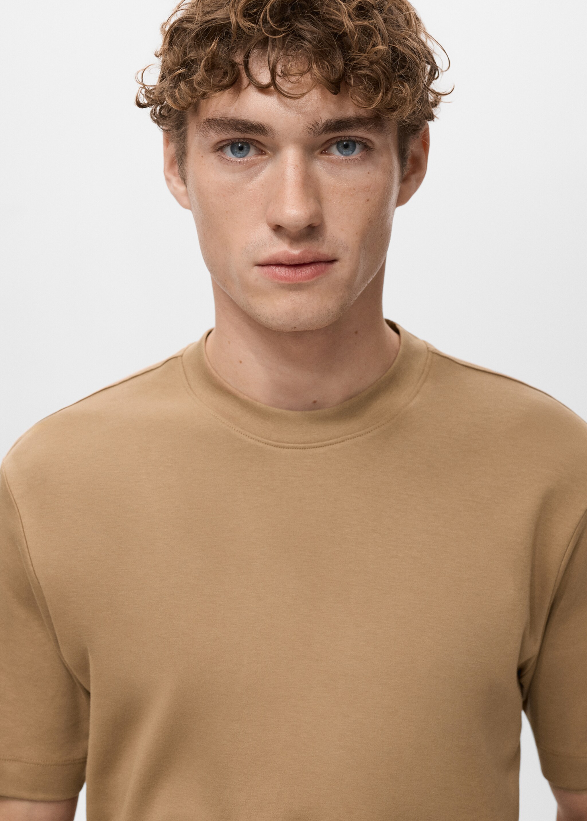 Medium weight regular fit T-shirt - Details of the article 1, Medium Brown. Ref: 27041262-00.