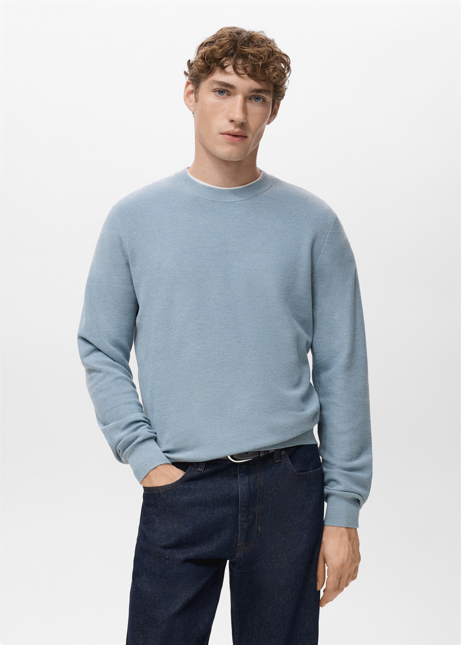 Microstructured cotton knitted sweater - Medium plane