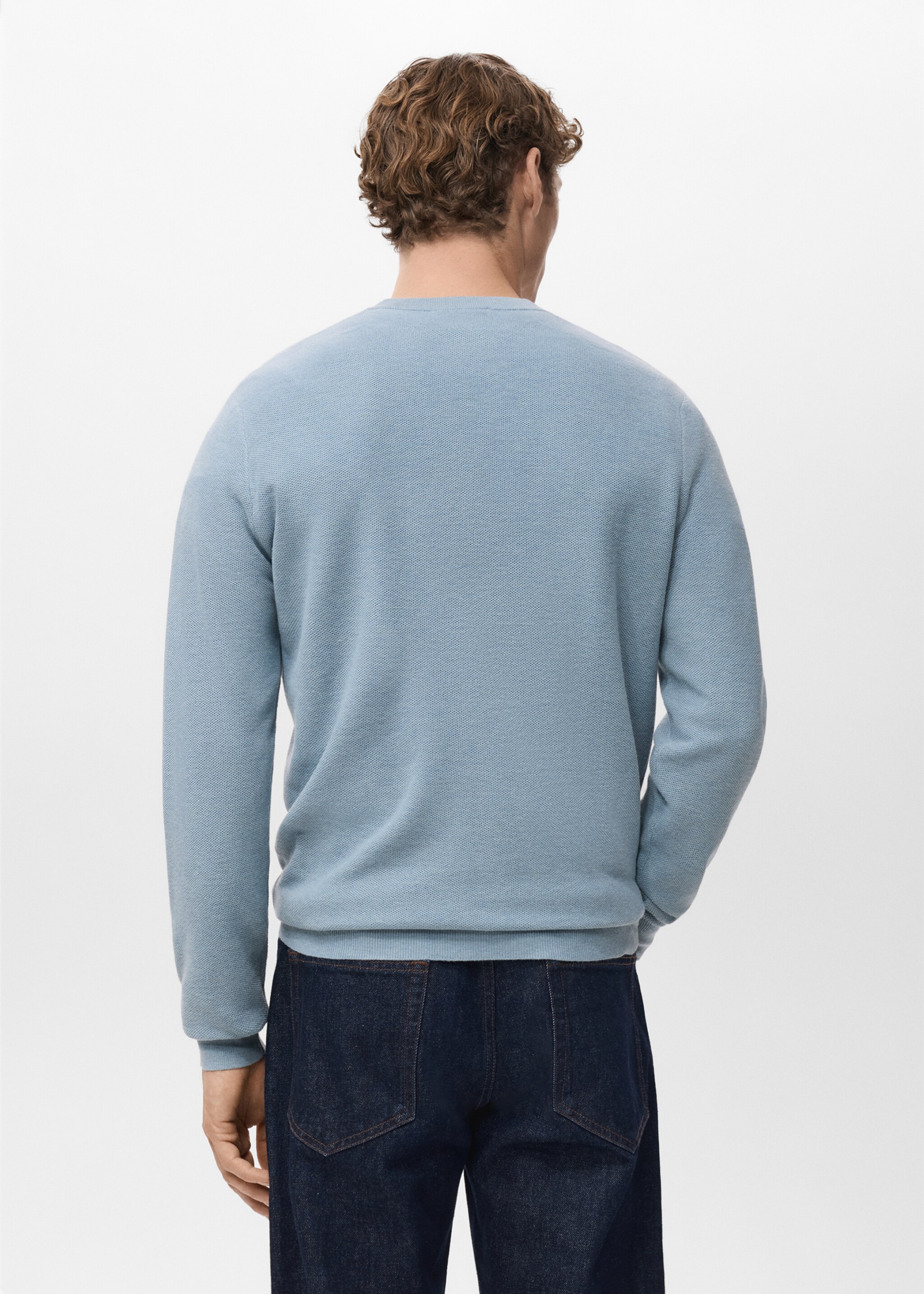 Microstructured cotton knitted sweater - Reverse of the article, Sky Blue. Ref: 27041281-00.