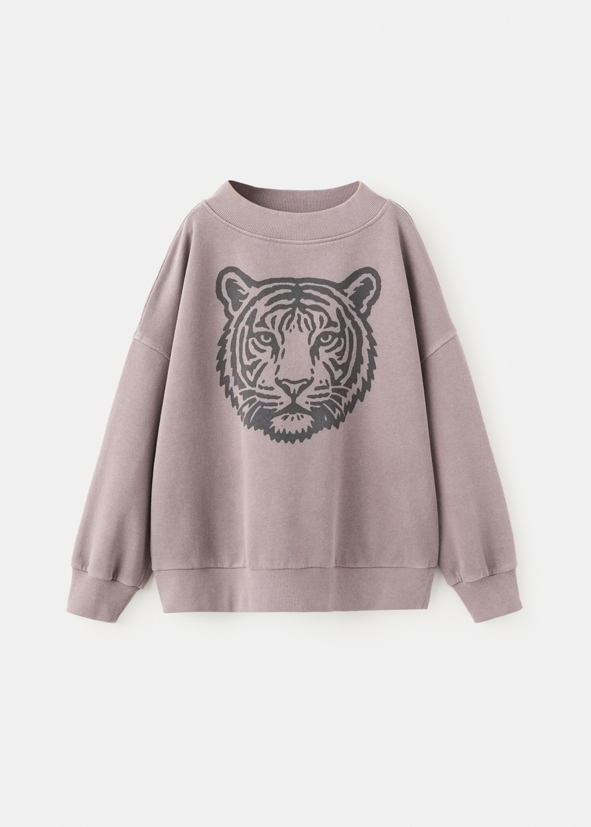 Sweatshirt tigerset - Article without model, Chocolate. Ref: 27041536-00.