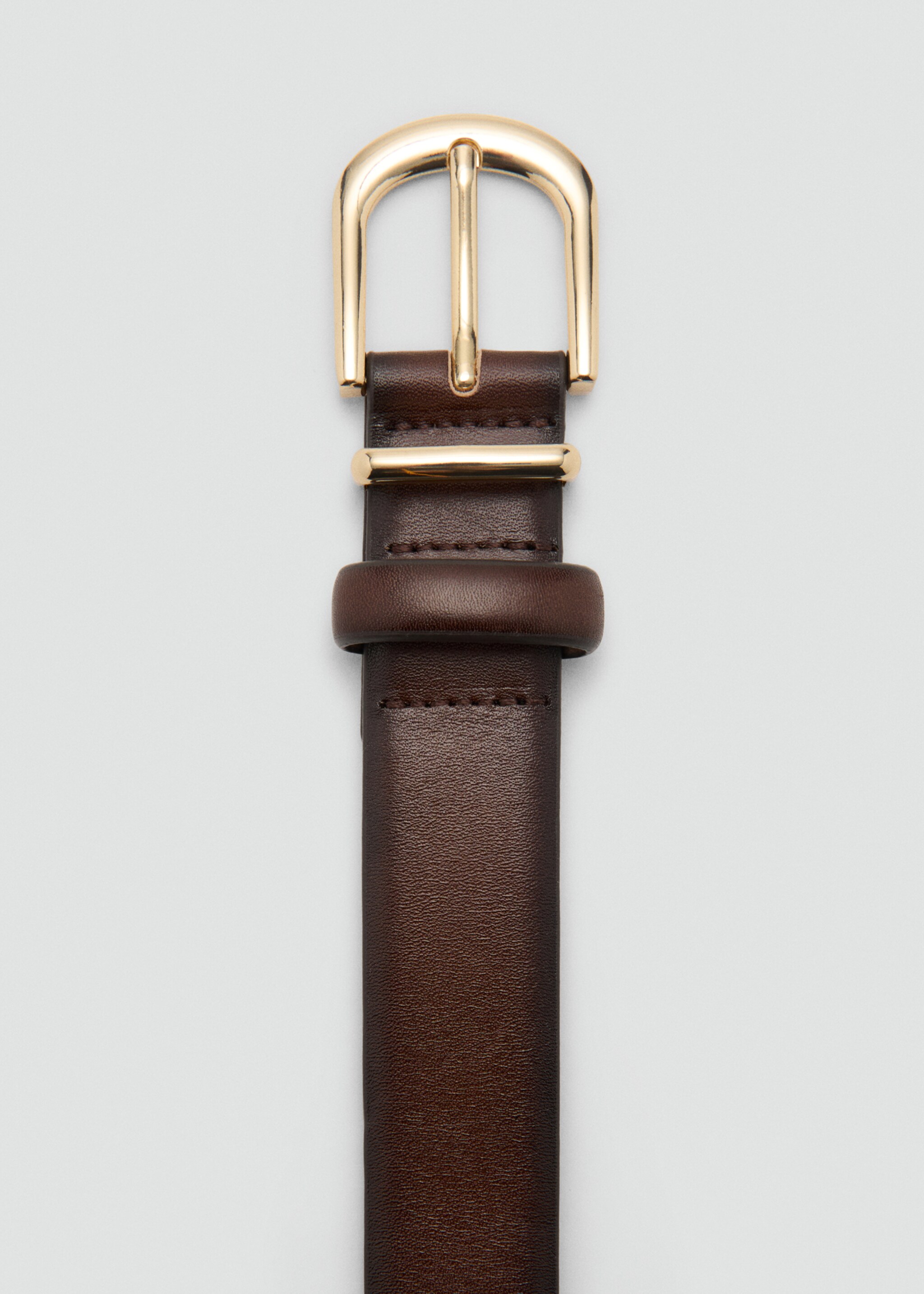 Belt telmoc - Details of the article 1, Chocolate. Ref: 27044786-00.