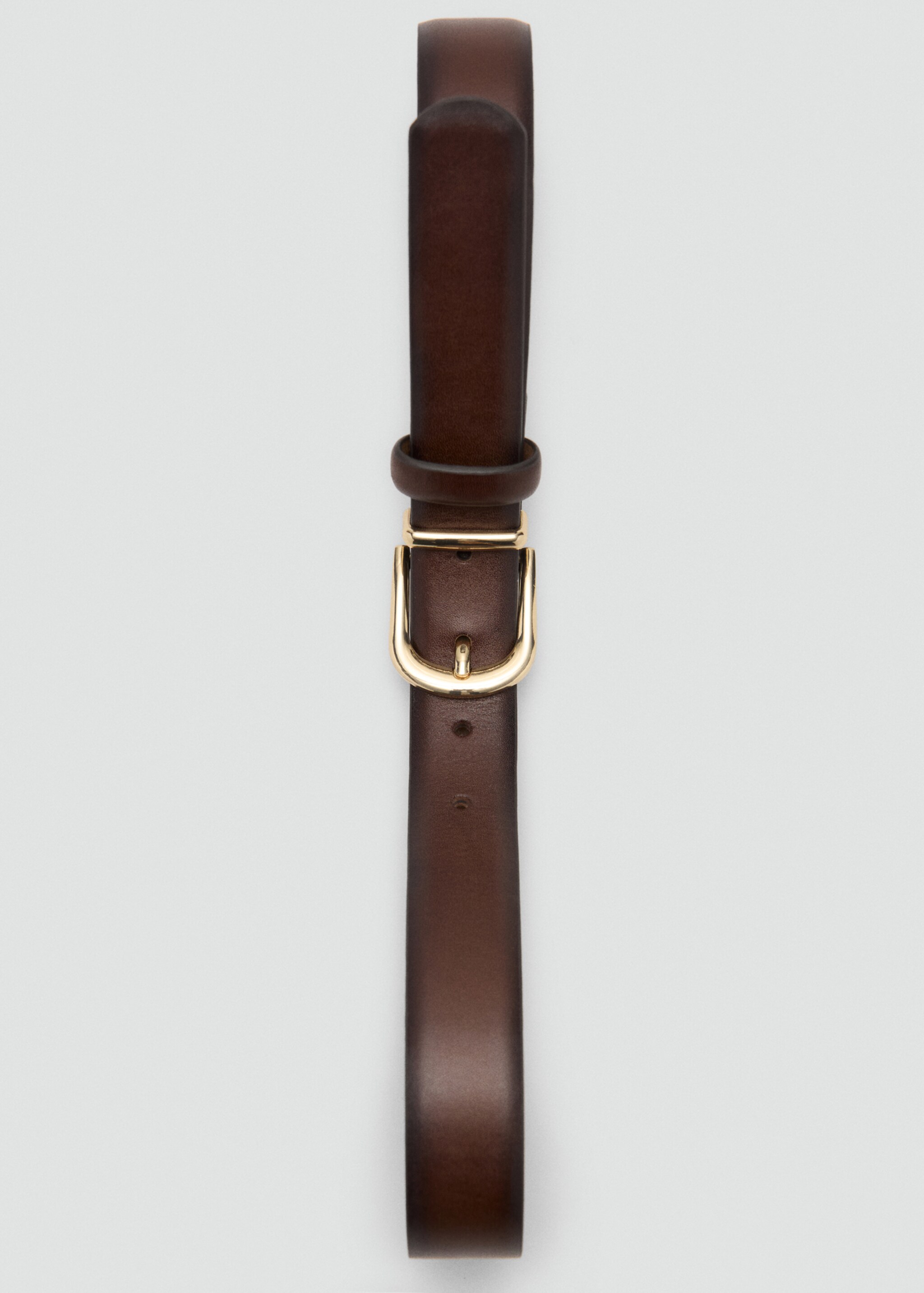 Belt telmoc - Details of the article 2, Chocolate. Ref: 27044786-00.