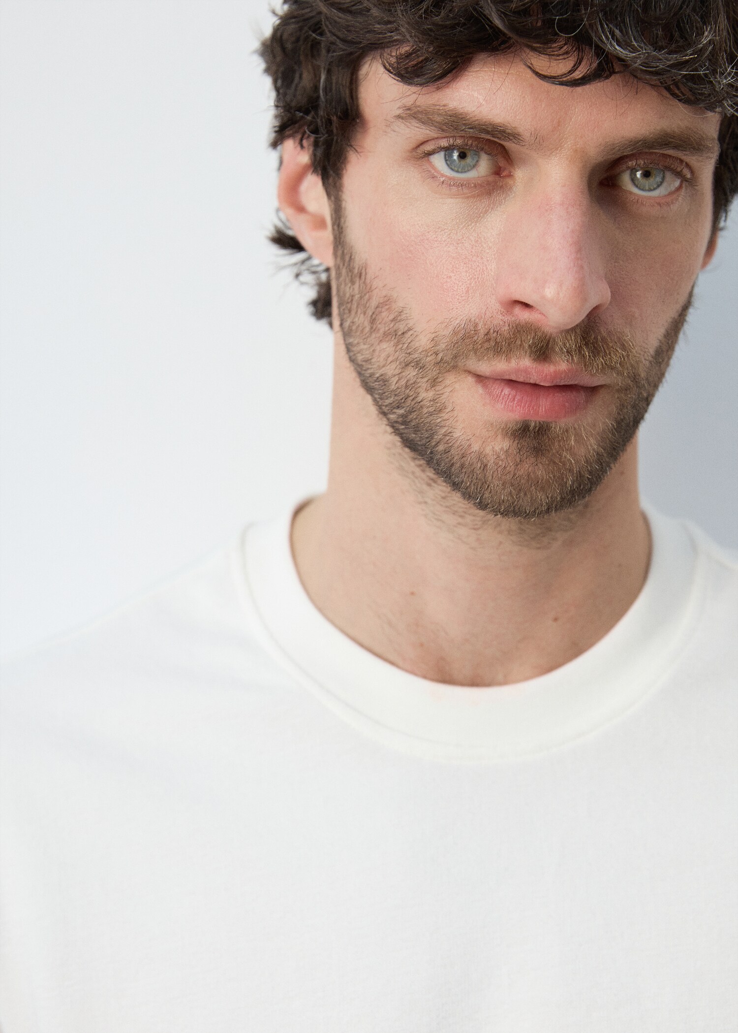 100% cotton T-shirt regular fit - Details of the article 1