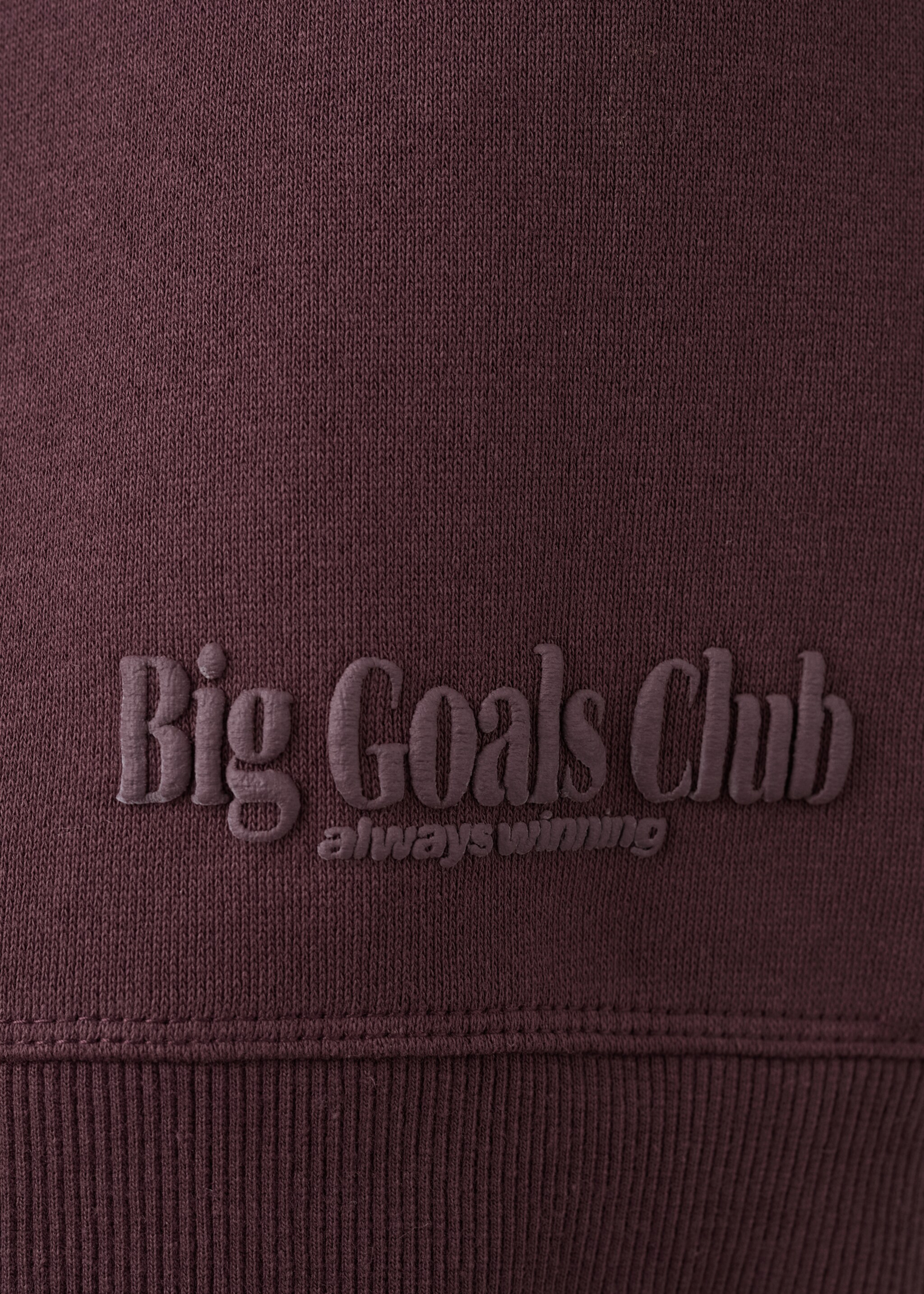 Sweat-shirt imprimé relief - Détail de l'article 8, Lie de vin. Ref: 27051230-00.