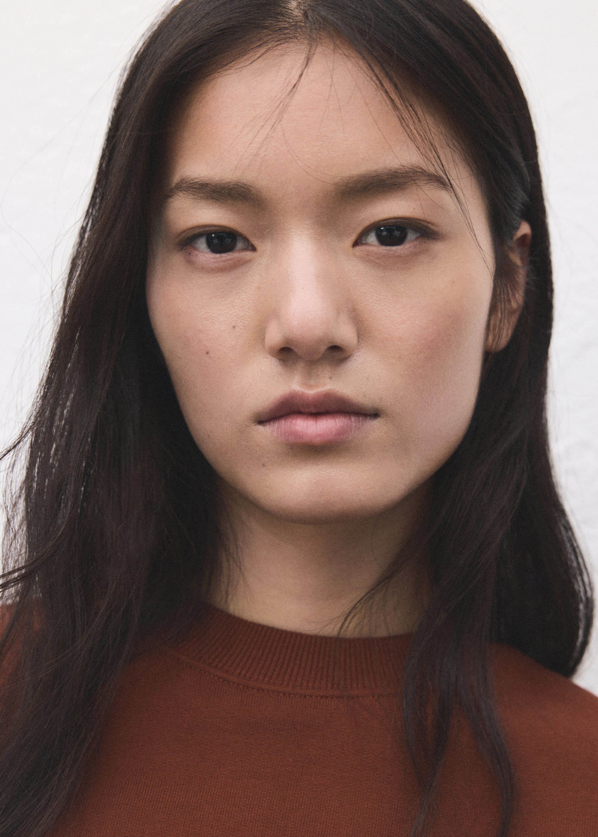 Plain cotton sweatshirt - Details of the article 1, Russet. Ref: 27051338-00.