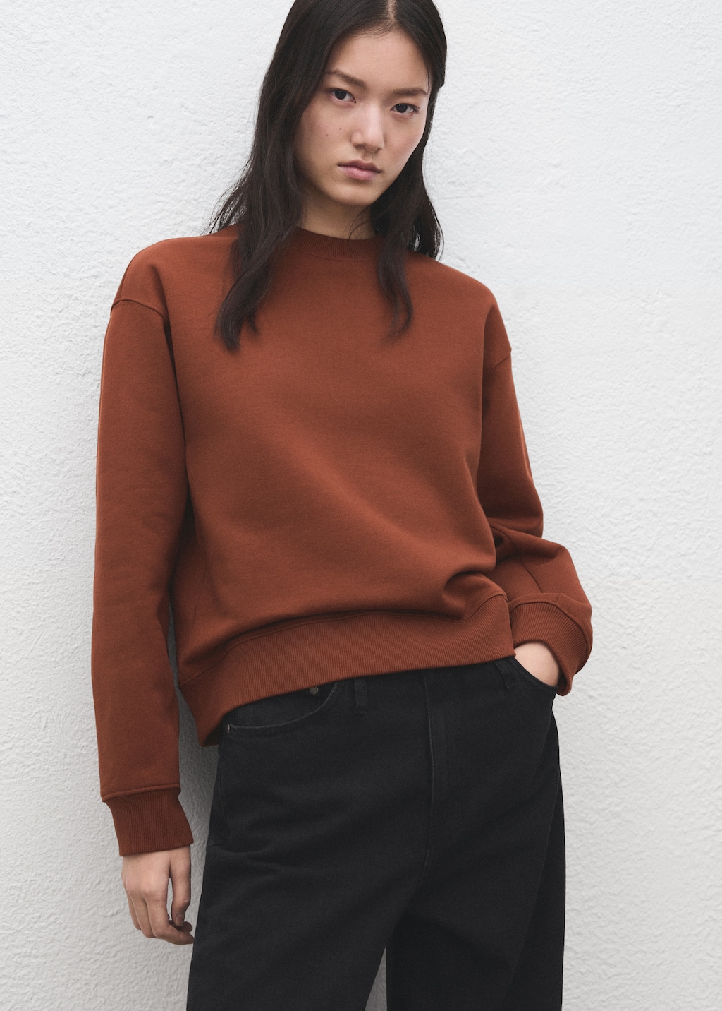 Plain cotton sweatshirt