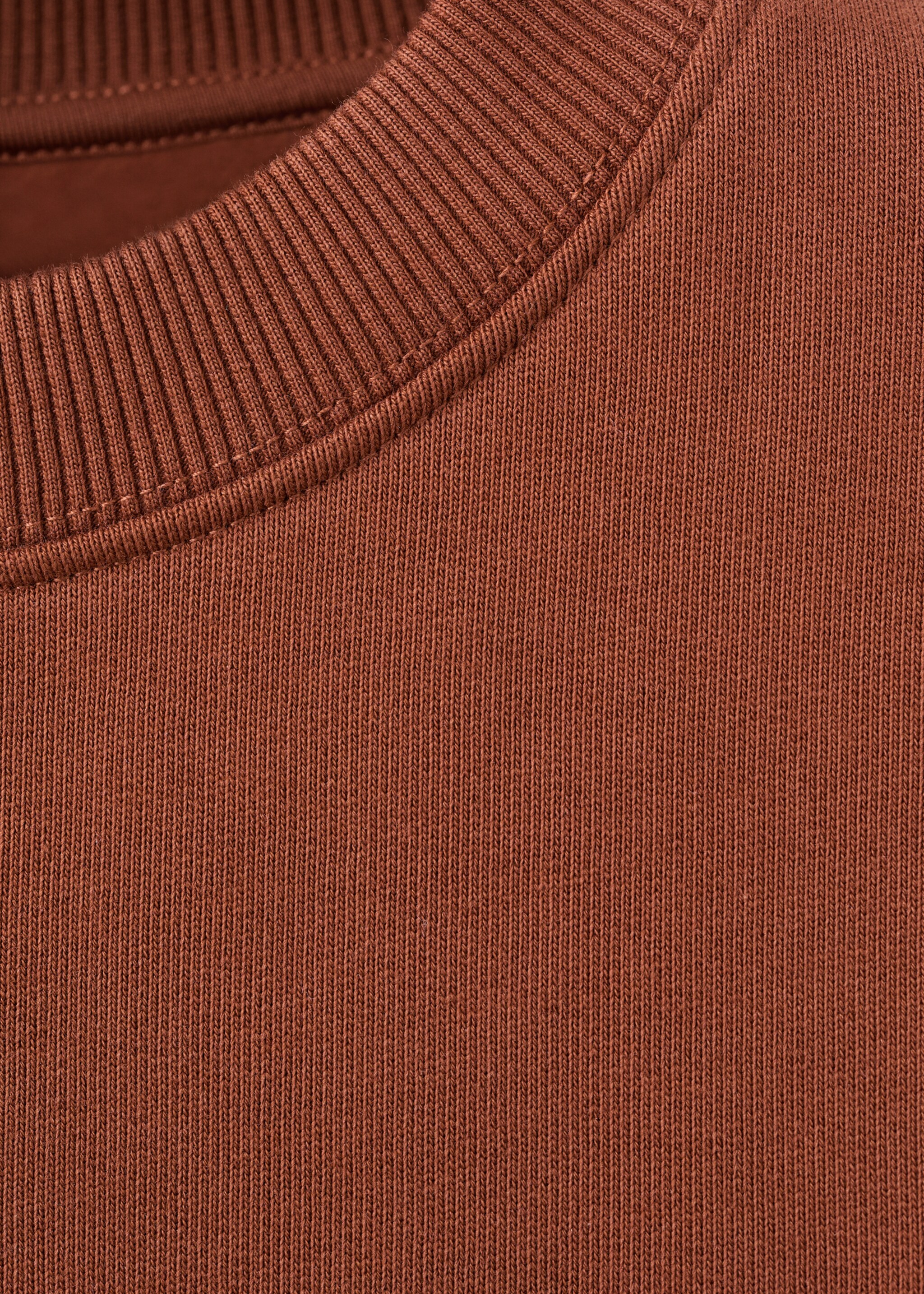 Plain cotton sweatshirt - Details of the article 8, Russet. Ref: 27051338-00.