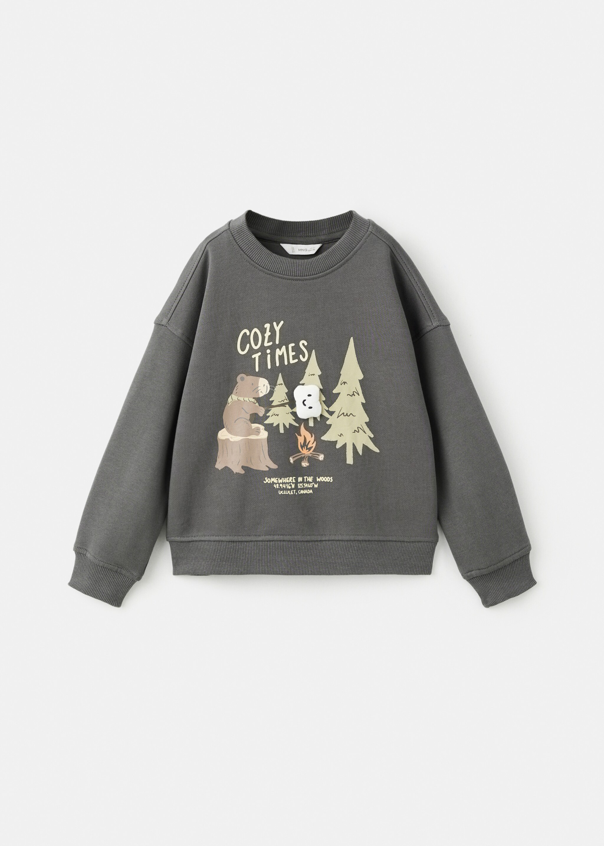Printed cotton sweatshirt - Article without model, Charcoal. Ref: 27053710-00.