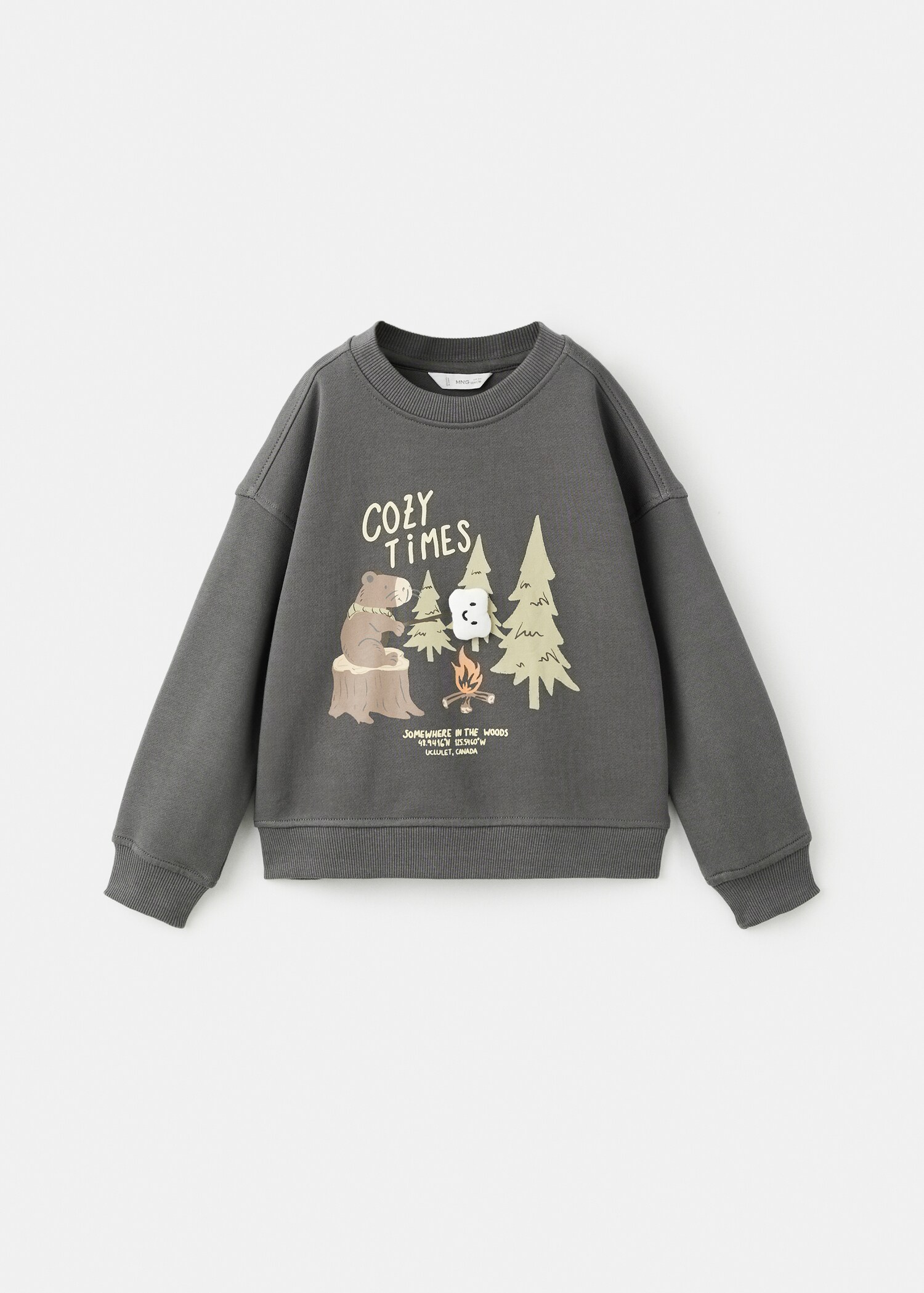 Printed cotton sweatshirt - Article without model