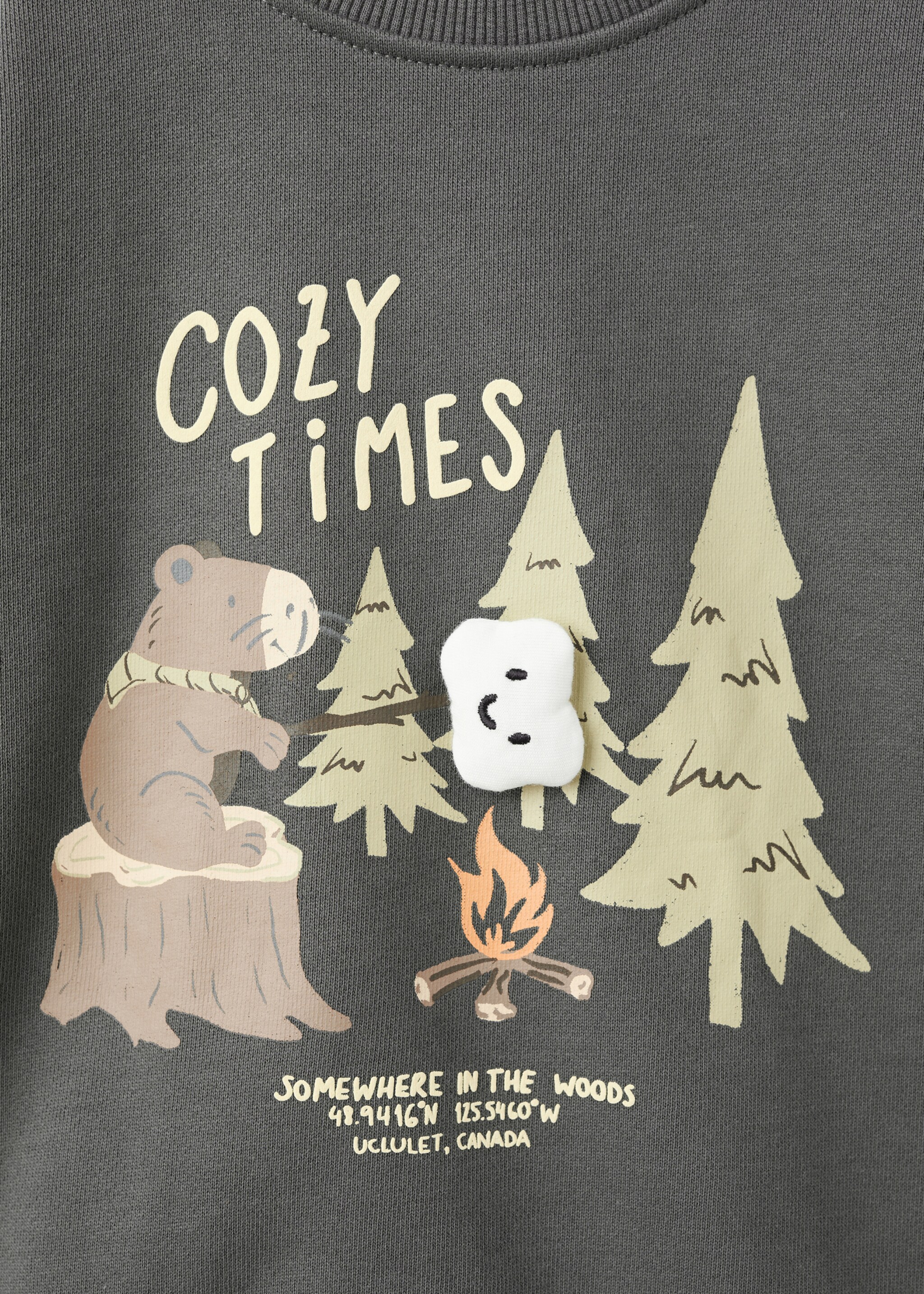 Printed cotton sweatshirt - Details of the article 8, Charcoal. Ref: 27053710-00.