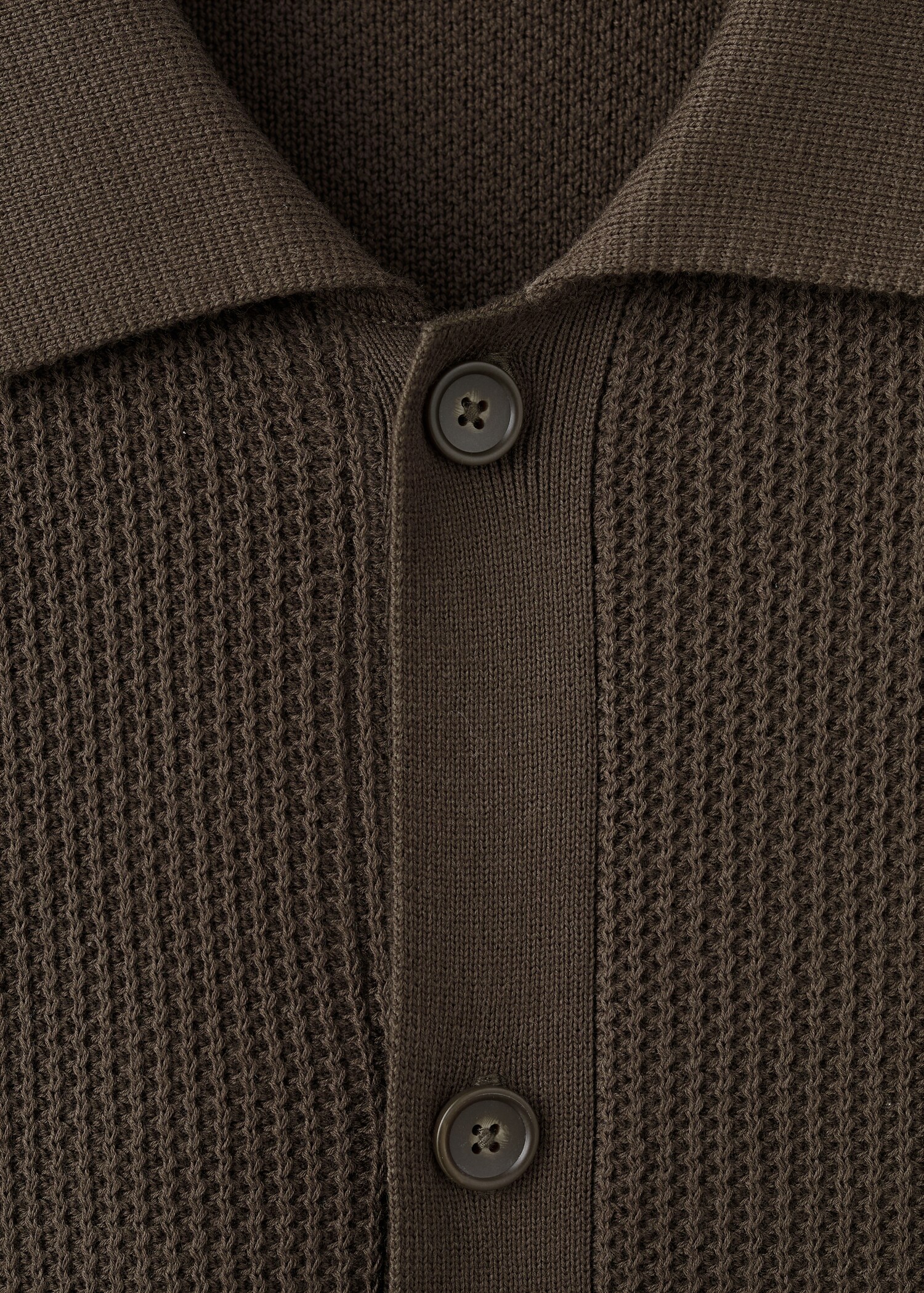 100% cotton structured knit polo with buttons - Details of the article 8