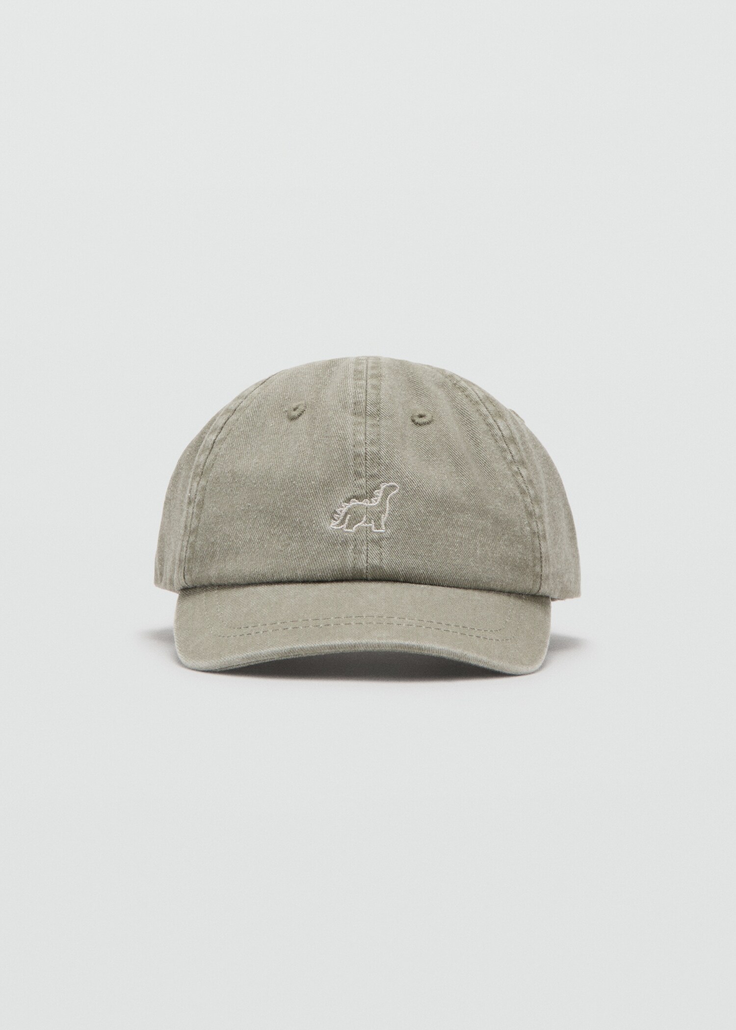 Embroidered graphic cap - Medium plane