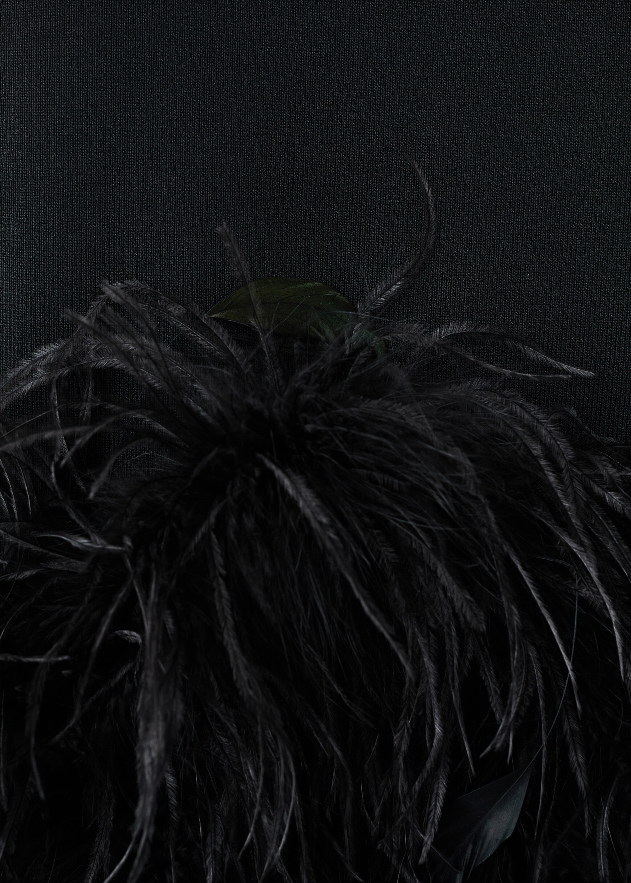 Knitted top with feather - Details of the article 0, Black. Ref: 27061198-00.