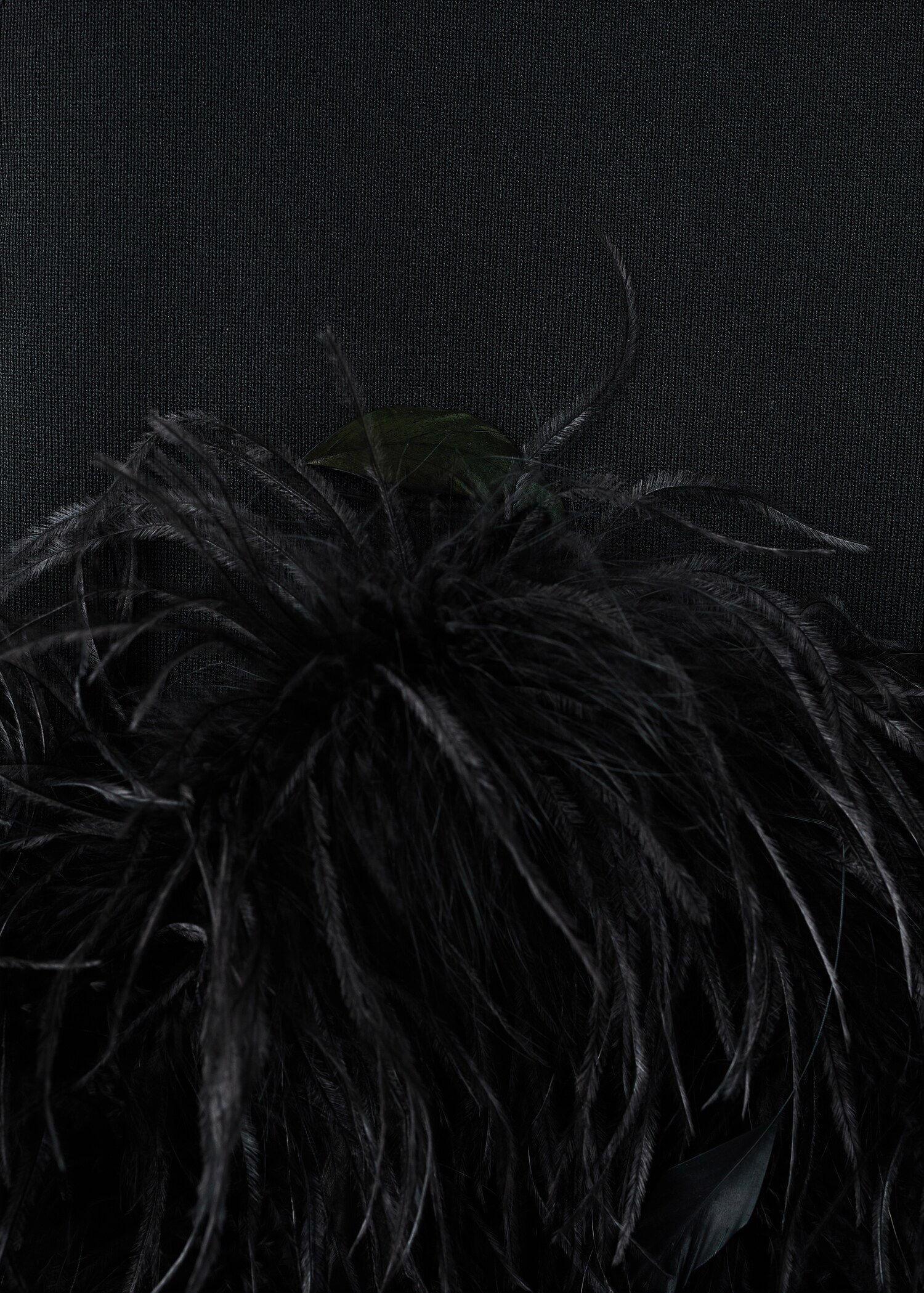 Knitted top with feather - Details of the article 0