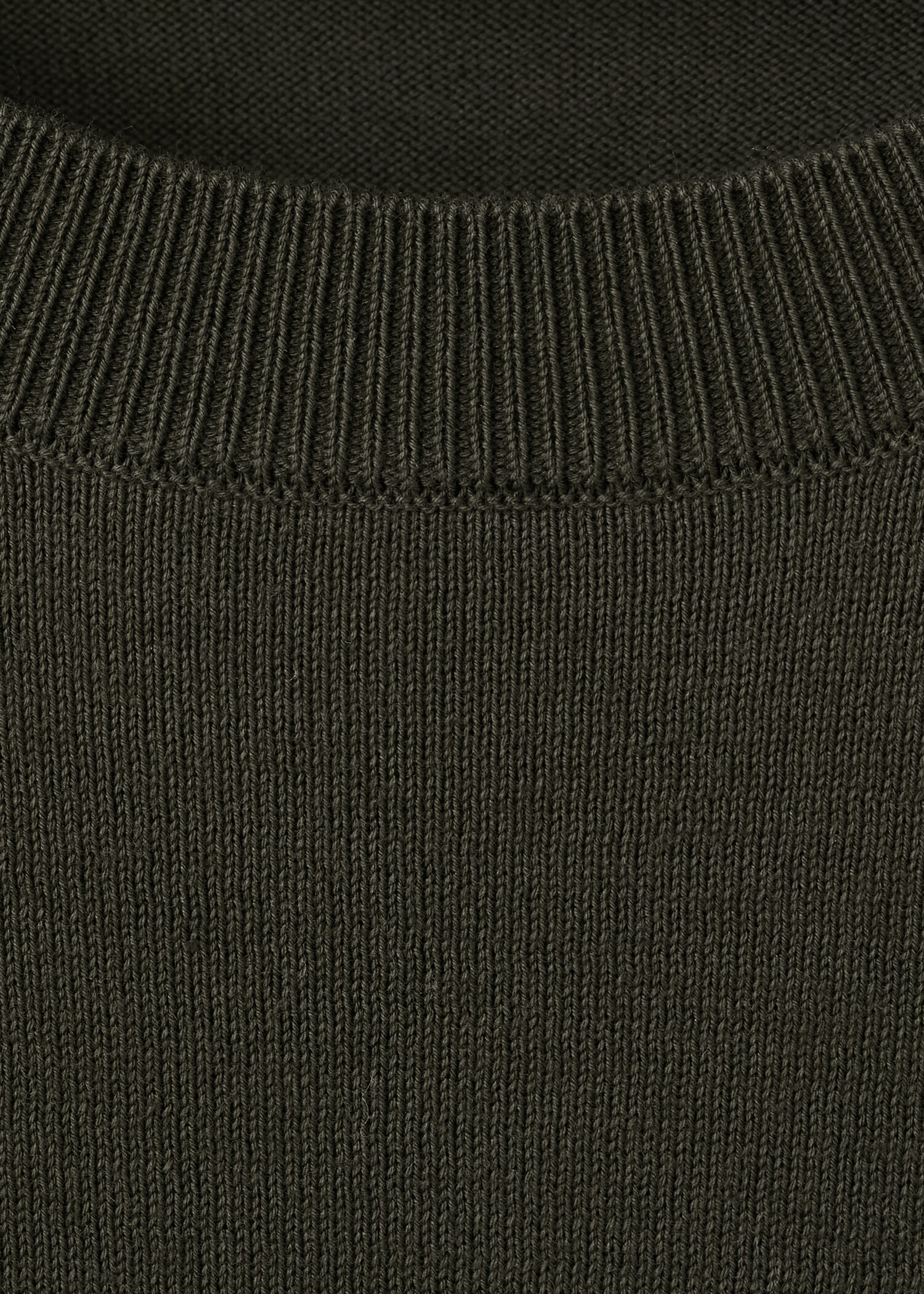 Fine jersey 100% cotton T-shirt - Details of the article 8