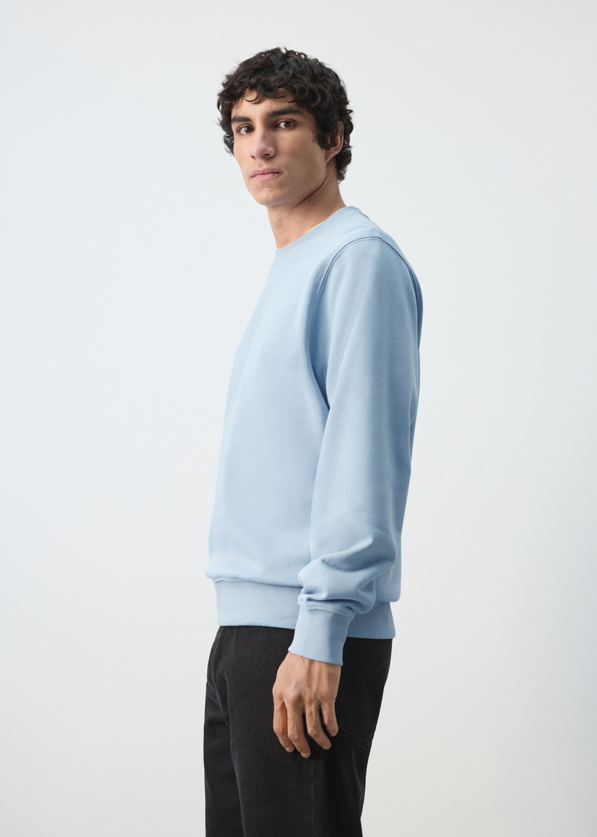 100% cotton regular-fit sweatshirt - Details of the article 2, Sky Blue. Ref: 27064430-00.