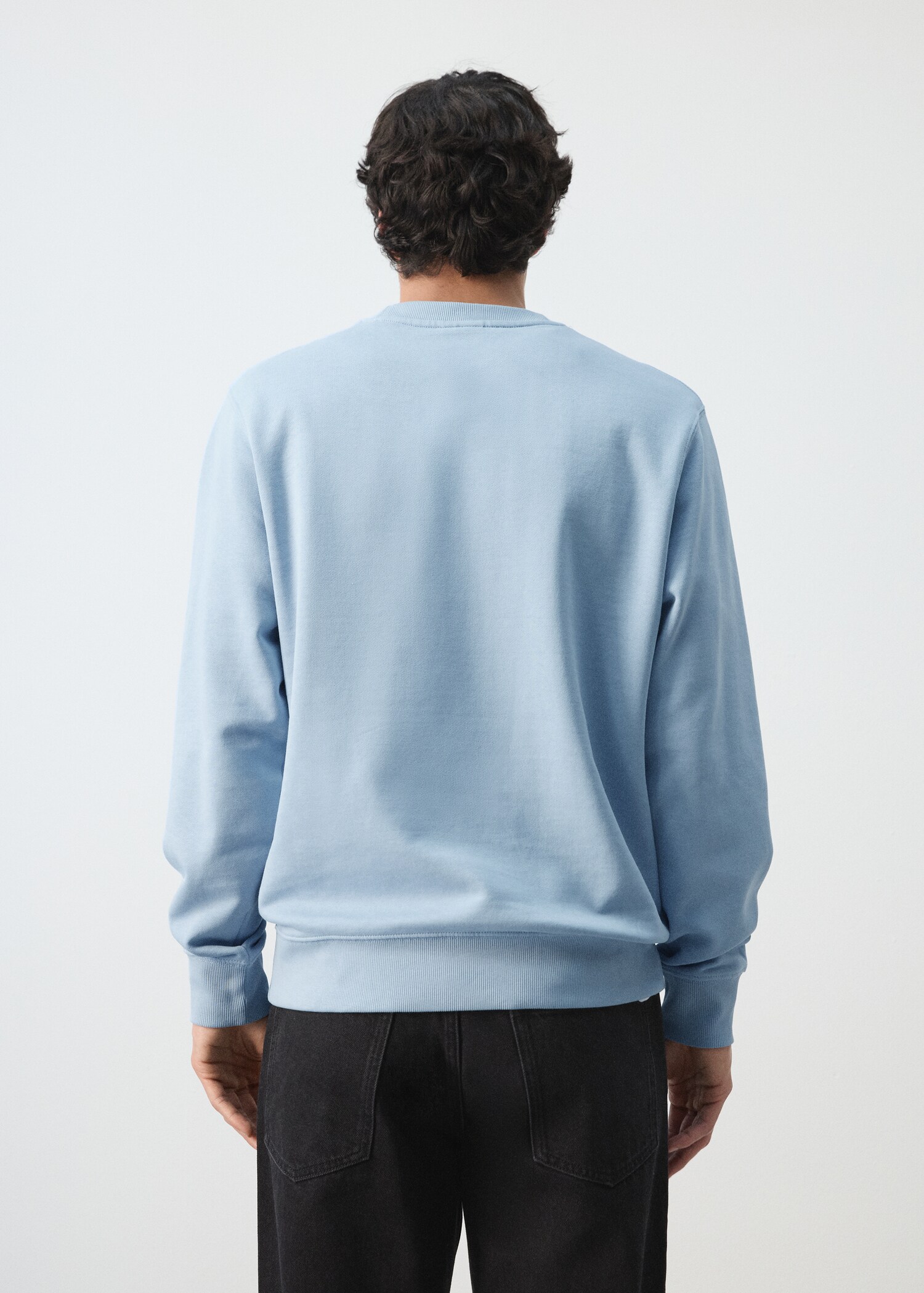 100% cotton regular-fit sweatshirt - Reverse of the article