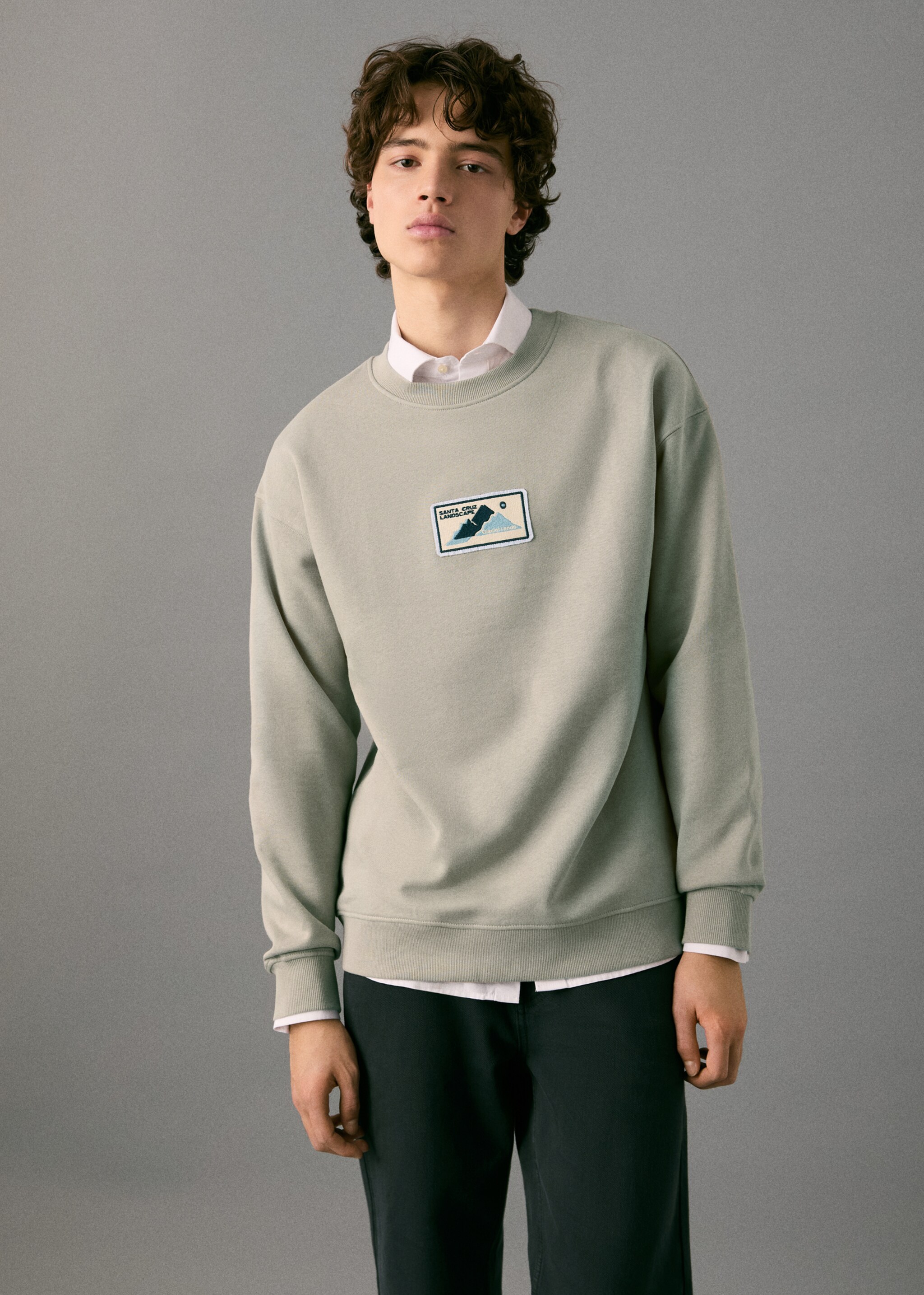 Patch cotton sweatshirt - Medium plane, Grey. Ref: 27071514-00.