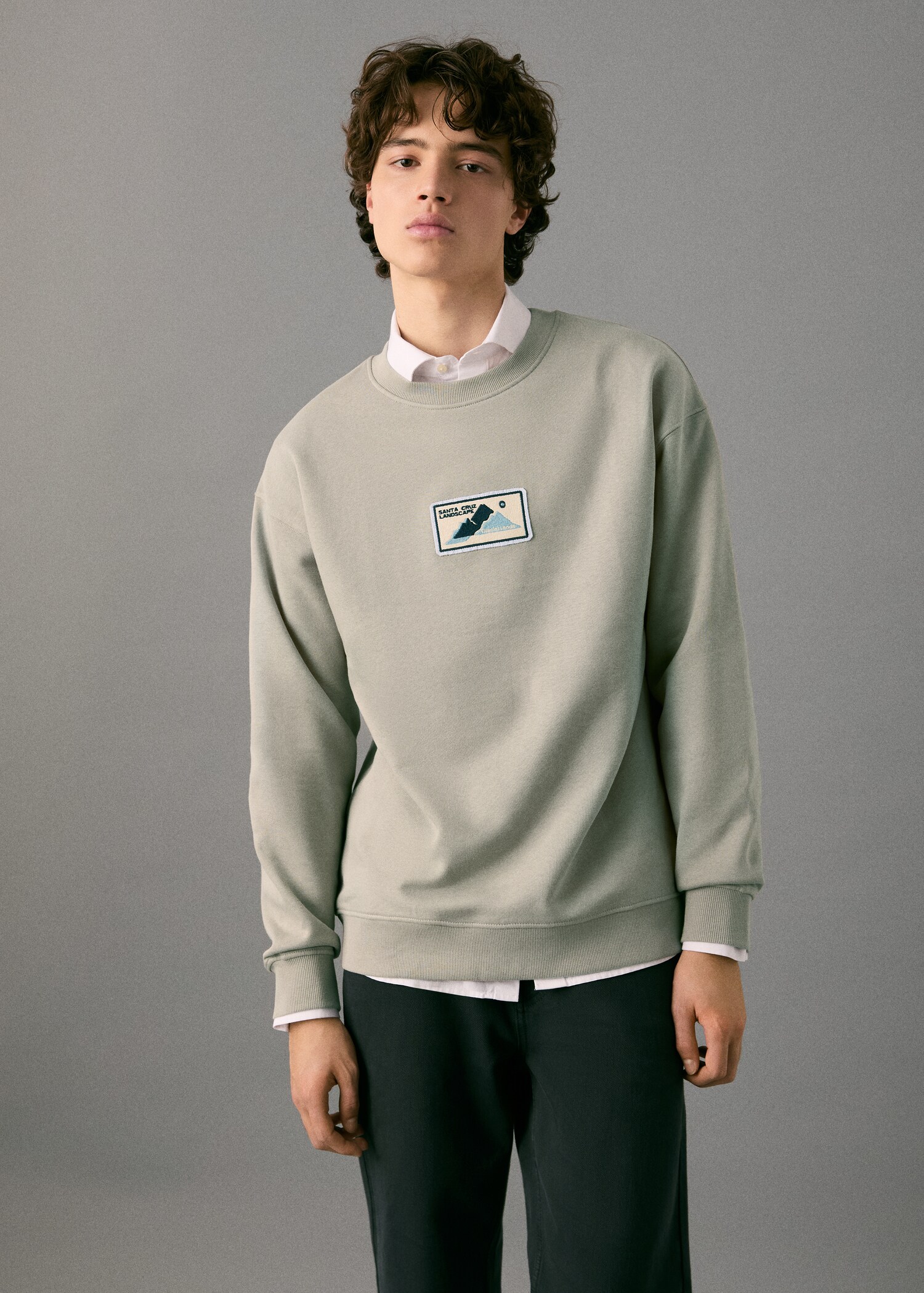 Patch cotton sweatshirt - Medium plane