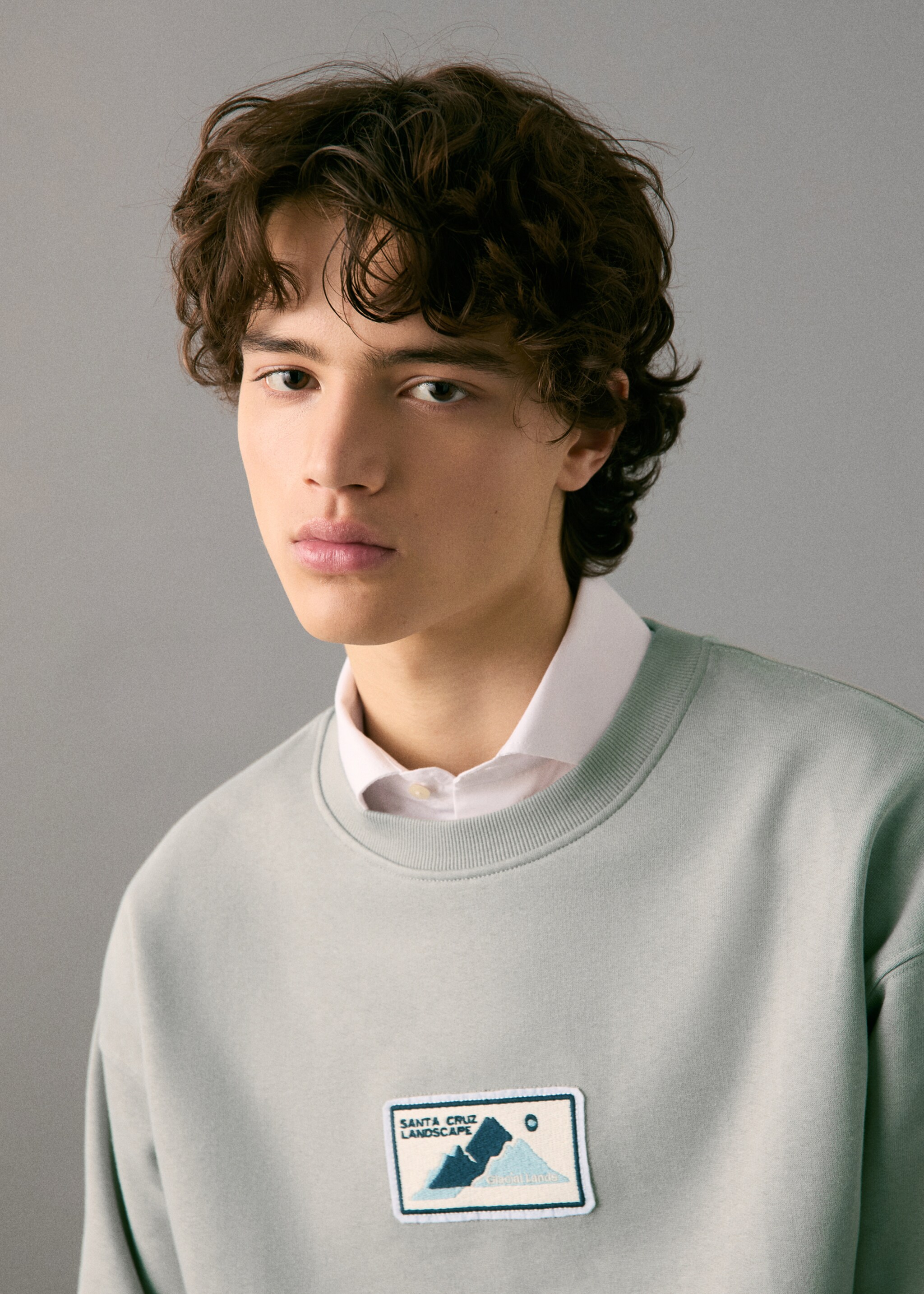 Patch cotton sweatshirt - Details of the article 1, Grey. Ref: 27071514-00.