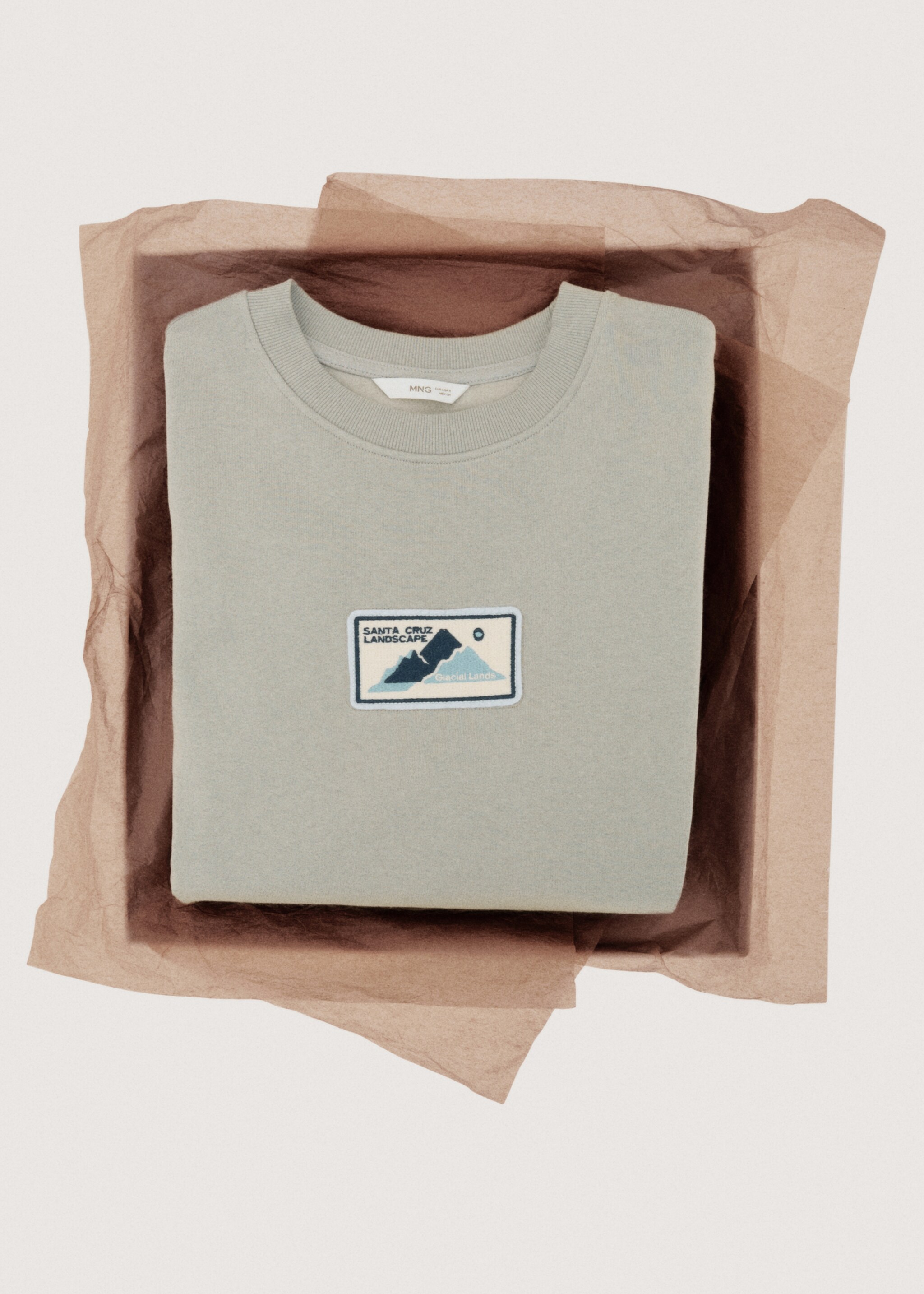 Patch cotton sweatshirt - Details of the article 7, Grey. Ref: 27071514-00.