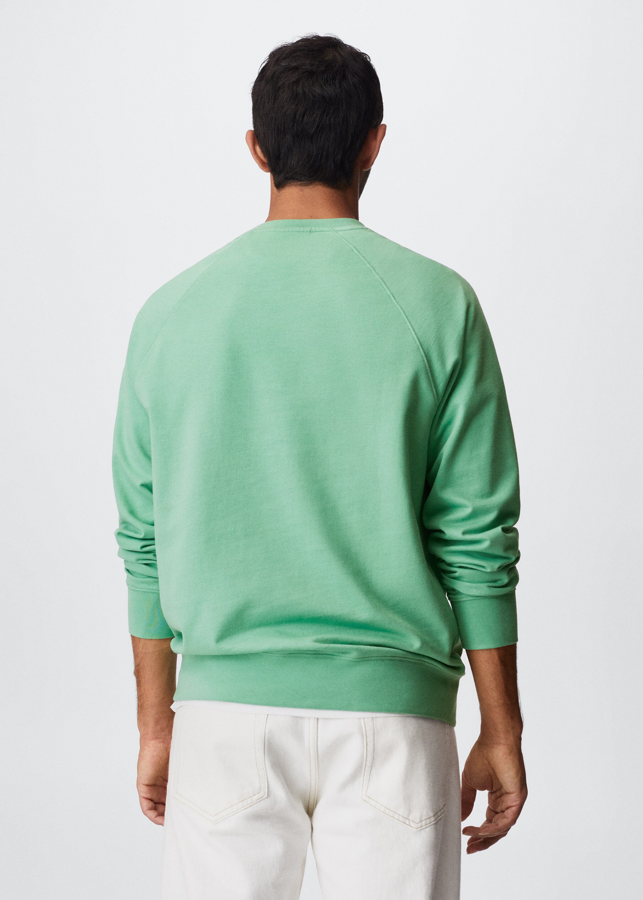 Pamuklu hafif sweatshirt - Ürünün arkası