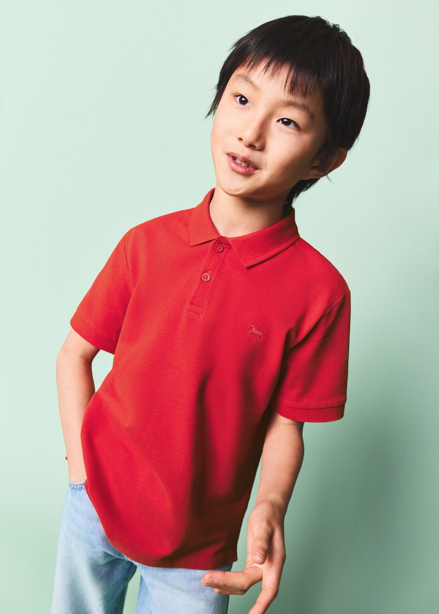 Cotton basic polo shirt - Medium plane