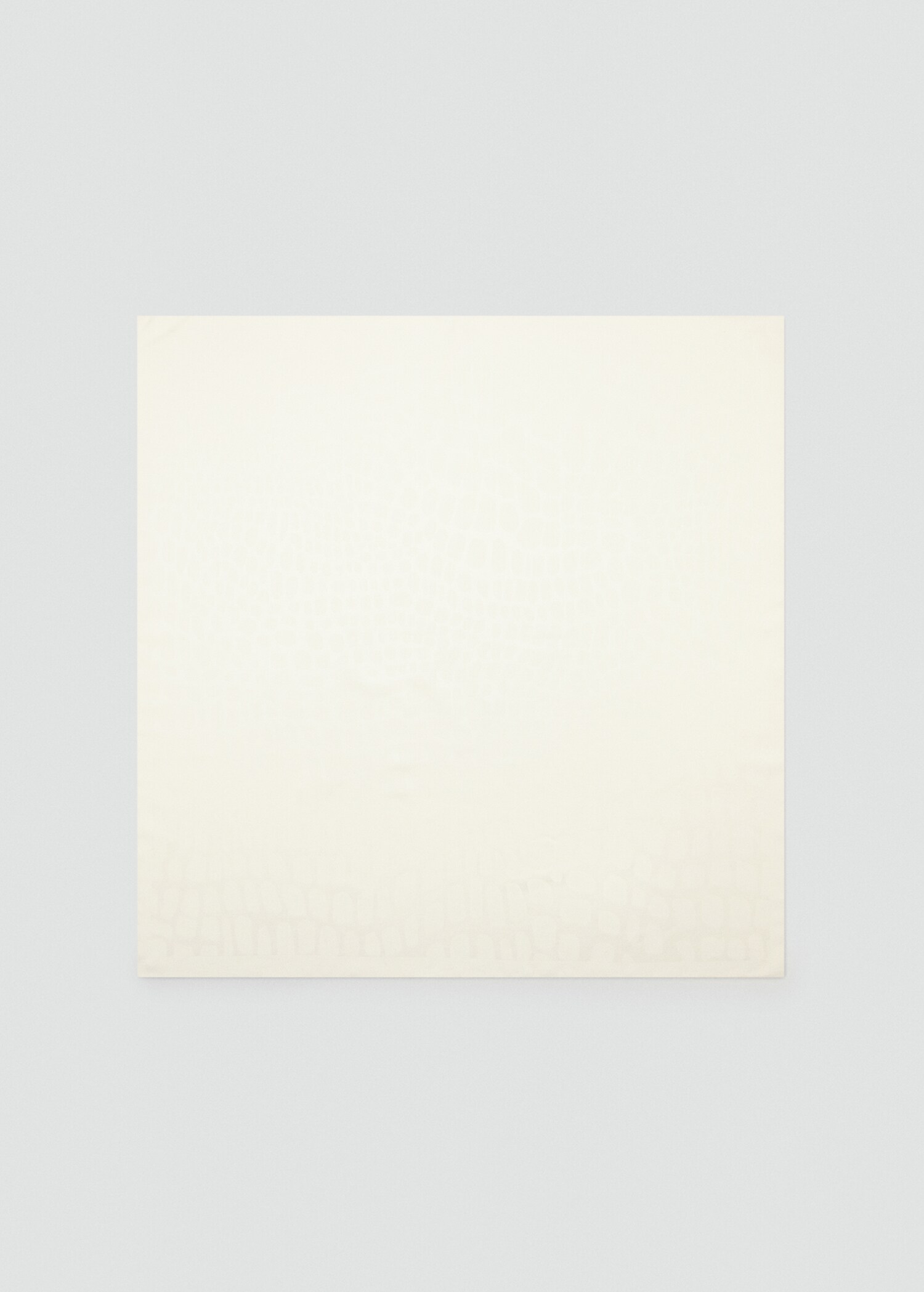 Animal print scarf - Article without model