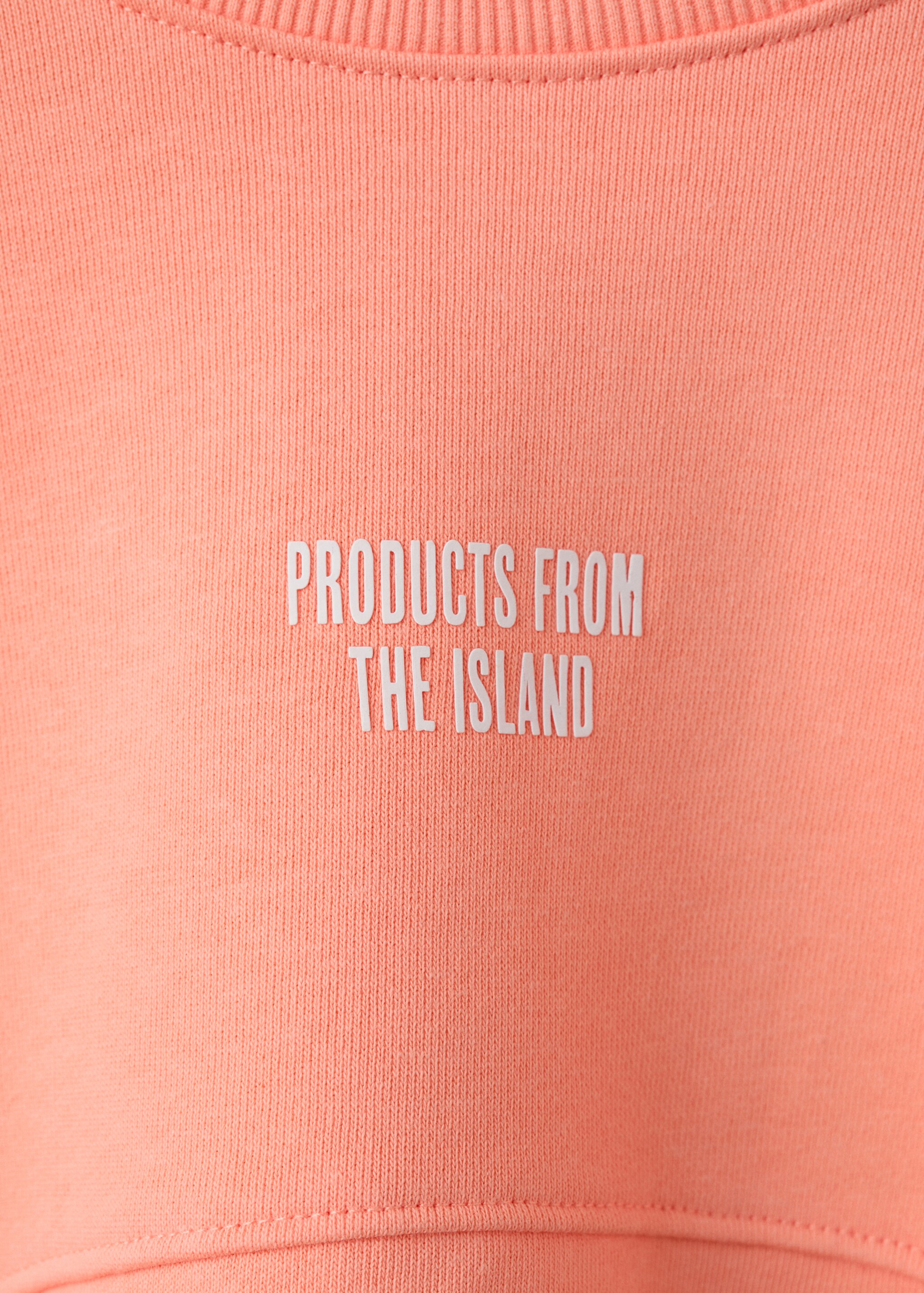 Printed cotton sweatshirt - Details of the article 8, Clementine. Ref: 27087909-00.